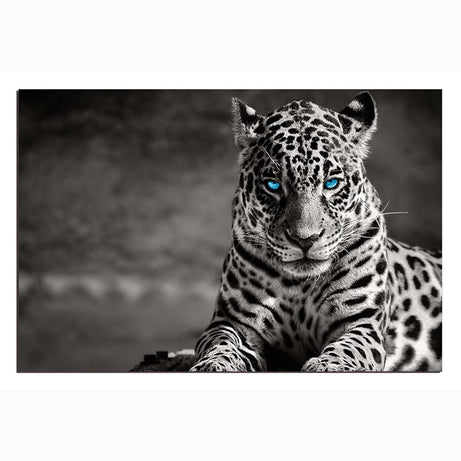 Oppidan Home "Spotted Leopard in Black and White" Acrylic Wall Art (32"H x 48"W)--1