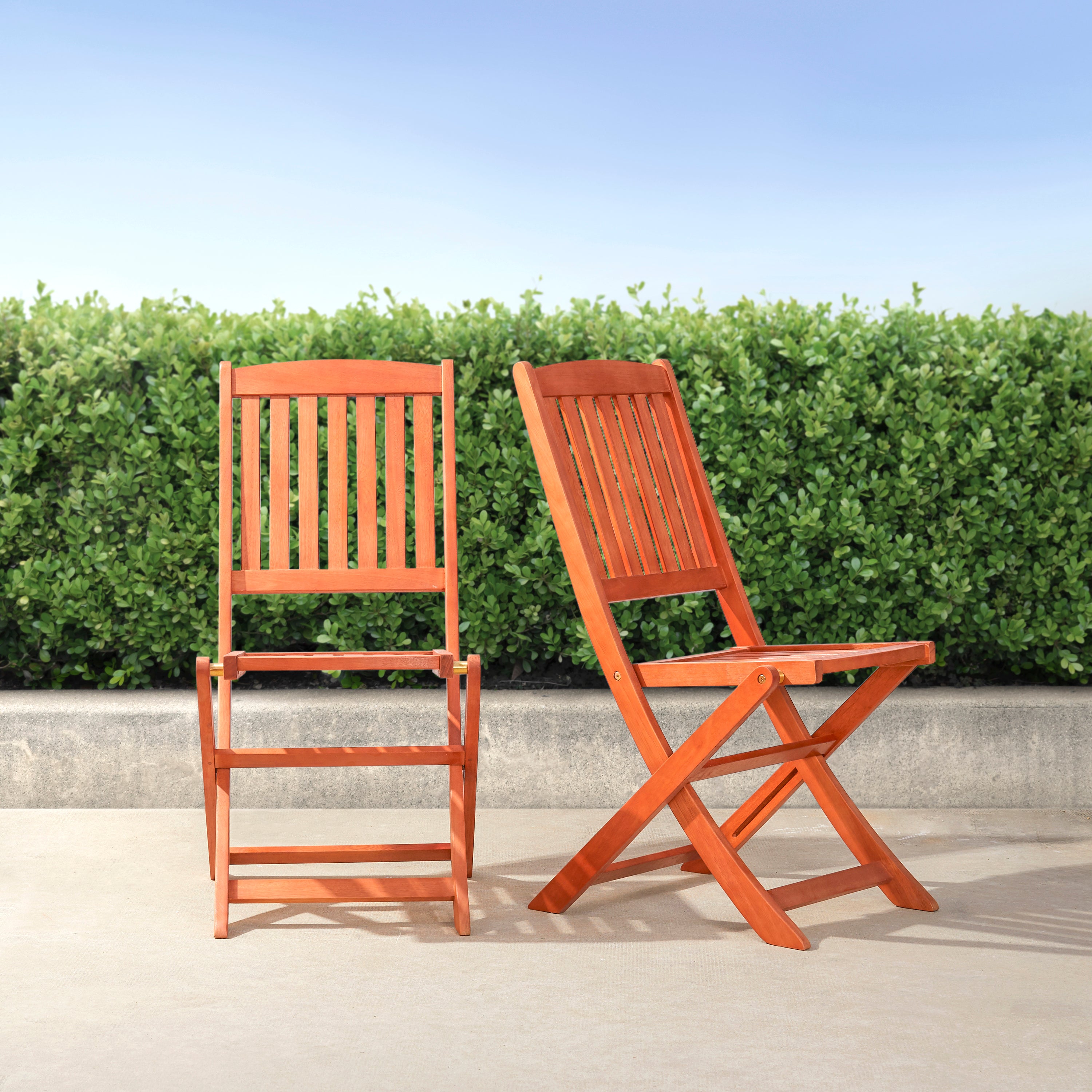 Lucius Reddish Brown Patio Folding Chairs (Set of 2)--1