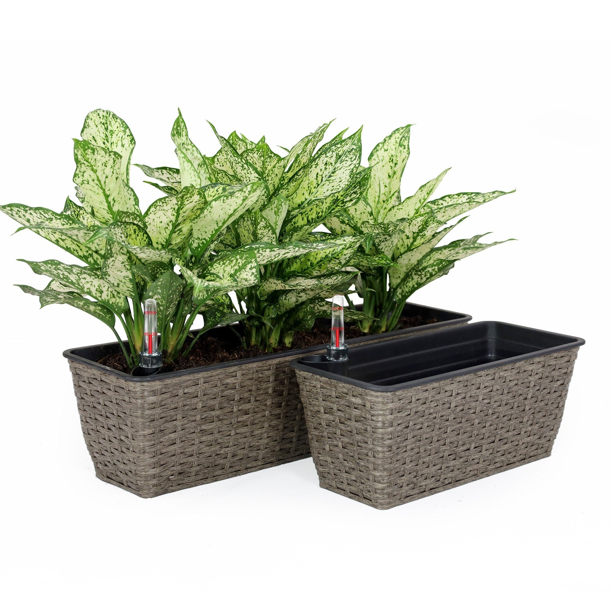 2-Pack Self-watering Planter - Hand Woven Wicker - Rectangular - Dark Gray--1