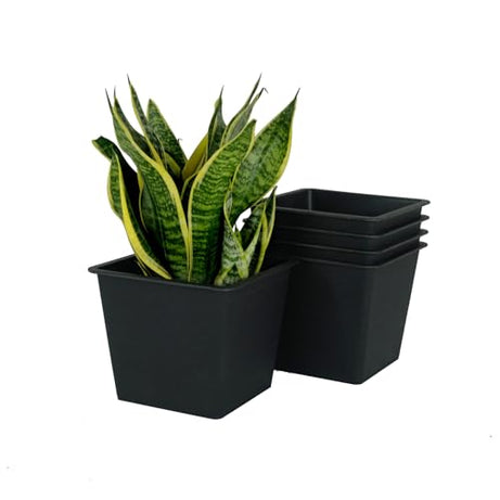 5" Square Nursery Plant Pot - Garden Plastic Pots with Drainage (5-Pack)--1