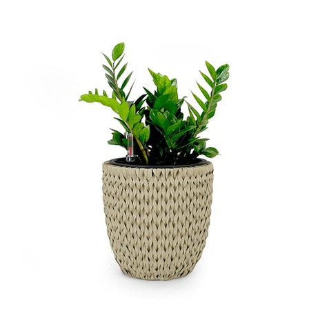 14.6" Self-watering Wicker Planter - Garden Decoration Pot - Beige - Round--1