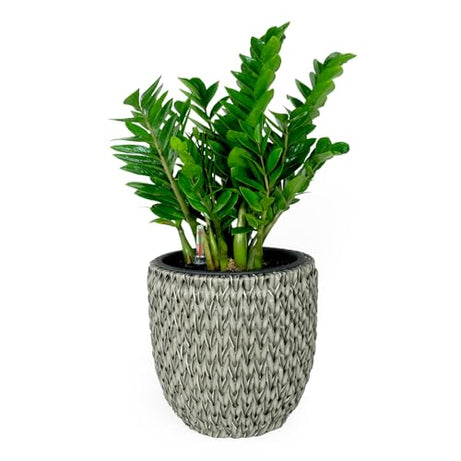 14.6" Self-watering Wicker Planter - Garden Decoration Pot - Gray - Round--1