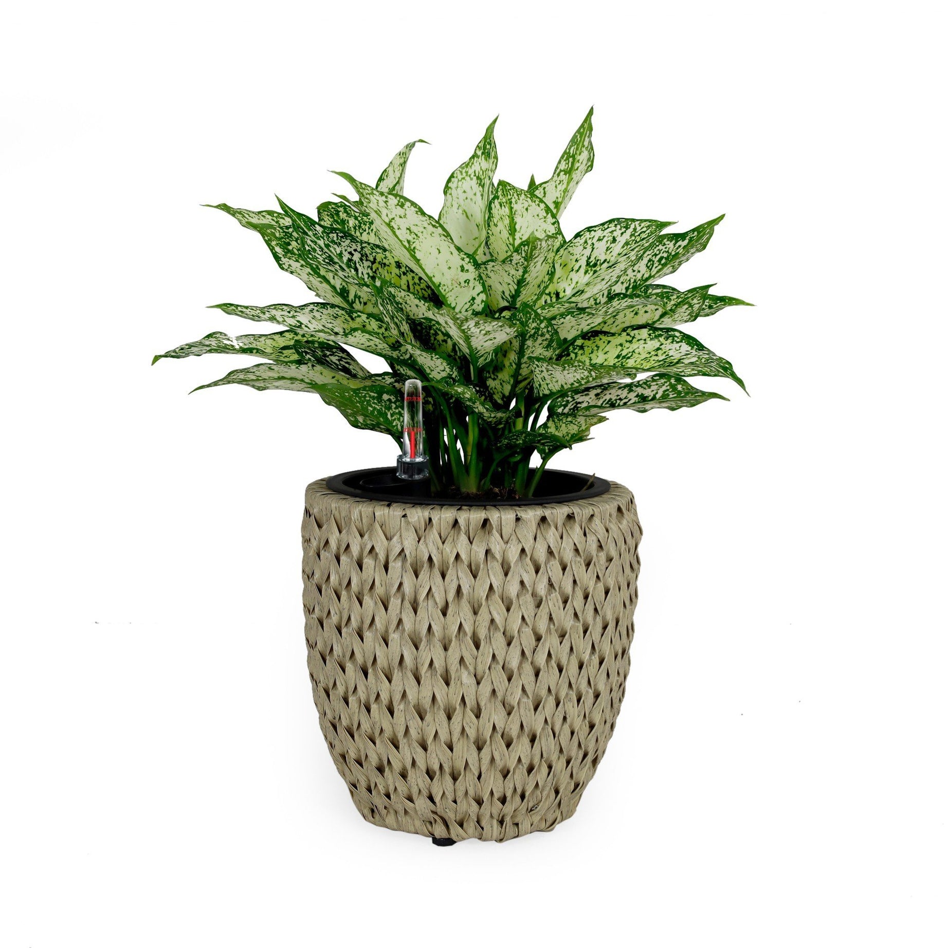 10.6" Self-watering Wicker Planter - Garden Decoration Pot - Beige - Round--1