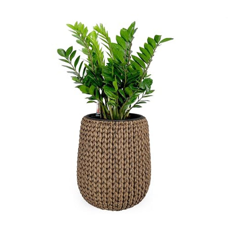 17.3" Self-watering Wicker Planter - Garden Decoration Pot - Natural - Round--1