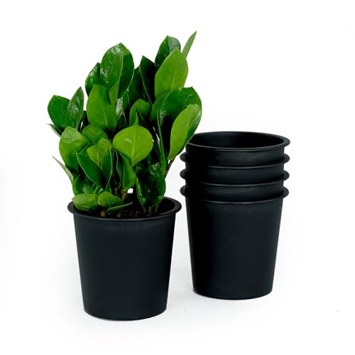 6.3" Round Nursery Plant Pot - Garden Plastic Pots with Drainage (5-Pack)--1