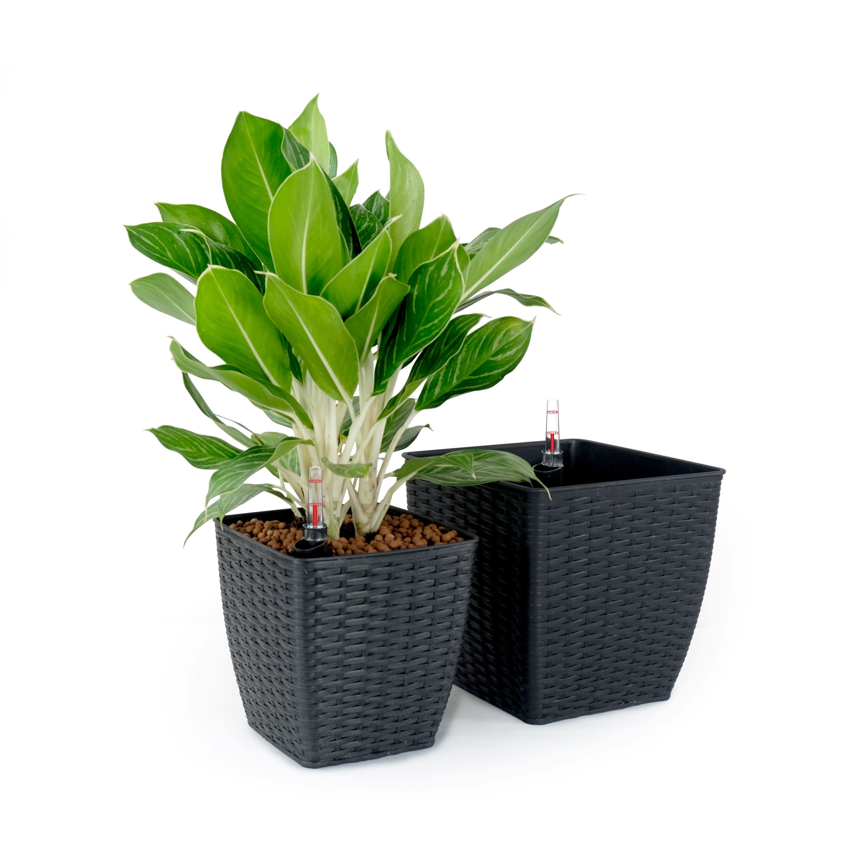 2-Pack  Self-watering Planter - Hand Woven Wicker - Thin Square - Dark Gray--1