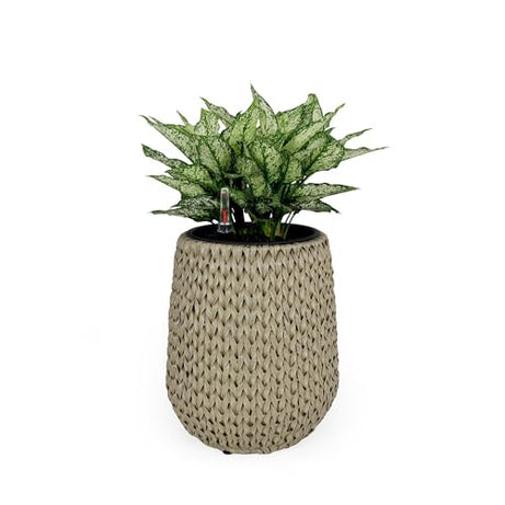 13.4" Self-watering Wicker Planter - Garden Decoration Pot - Beige - Round--1