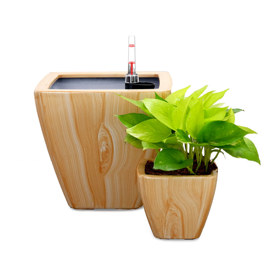 2-Pack Smart Self-watering Planter Pot for Indoor and Outdoor - Light Wood - Square Cone--1