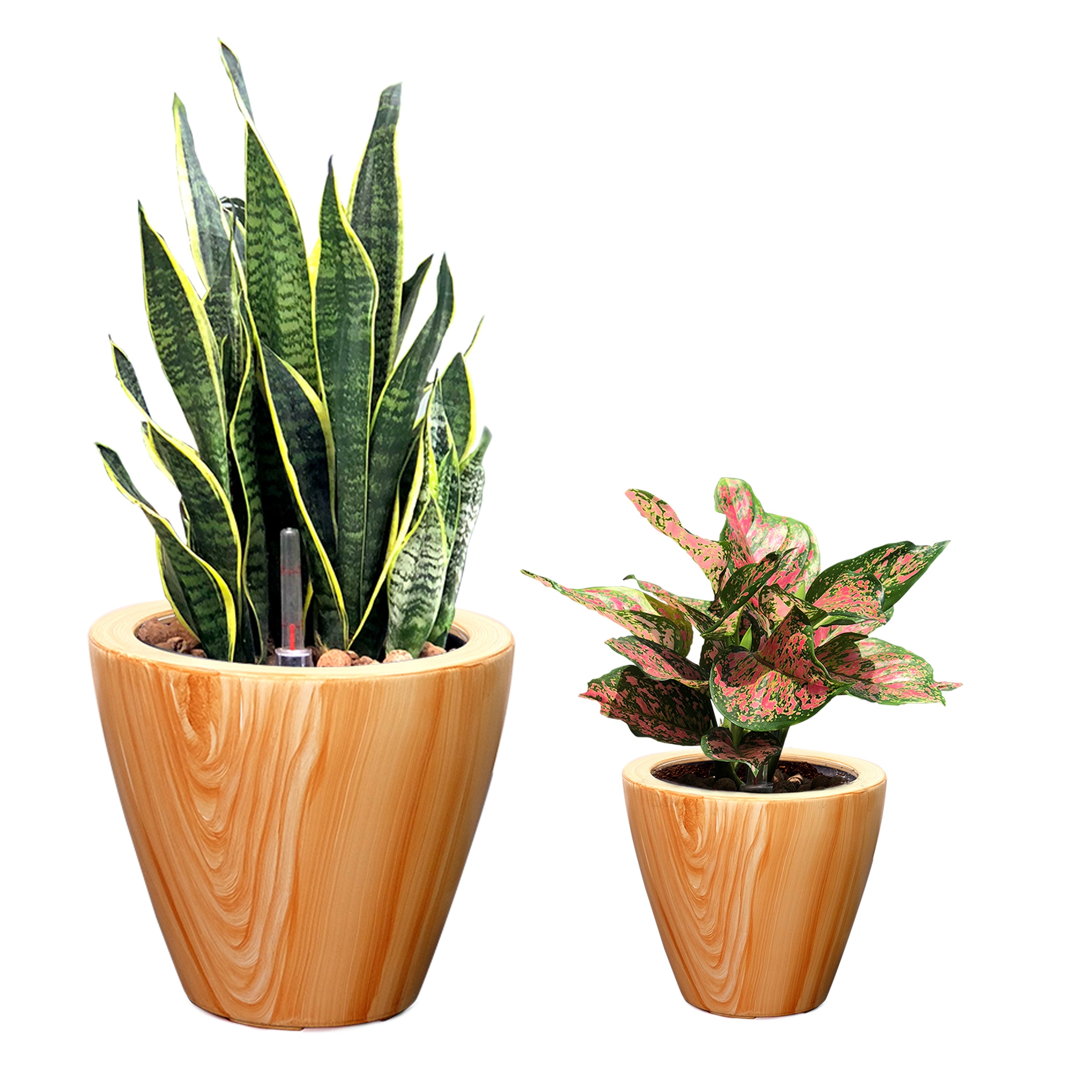 2-Pack 10 in. Light Wood Plastic Self-watering Planter Pot--1