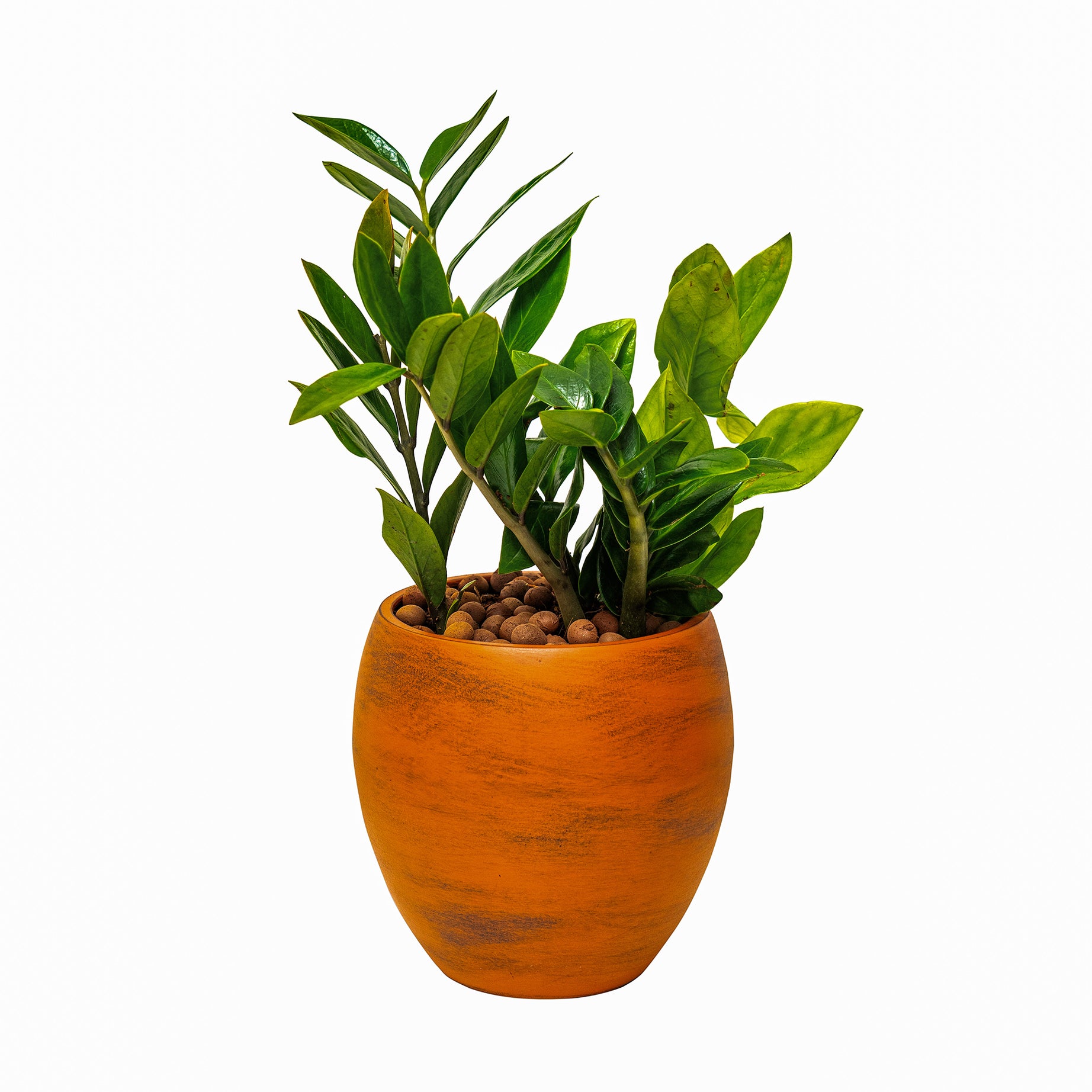 Smart Self-watering Round Planter Pot for Indoor and Outdoor - Terracotta Painted--1