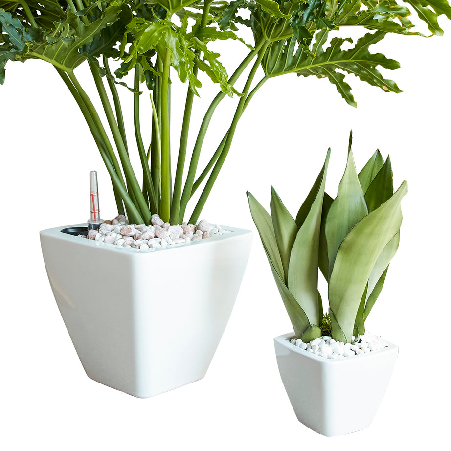 2-Pack Smart Self-watering Planter Pot for Indoor and Outdoor - White - Square Cone--1