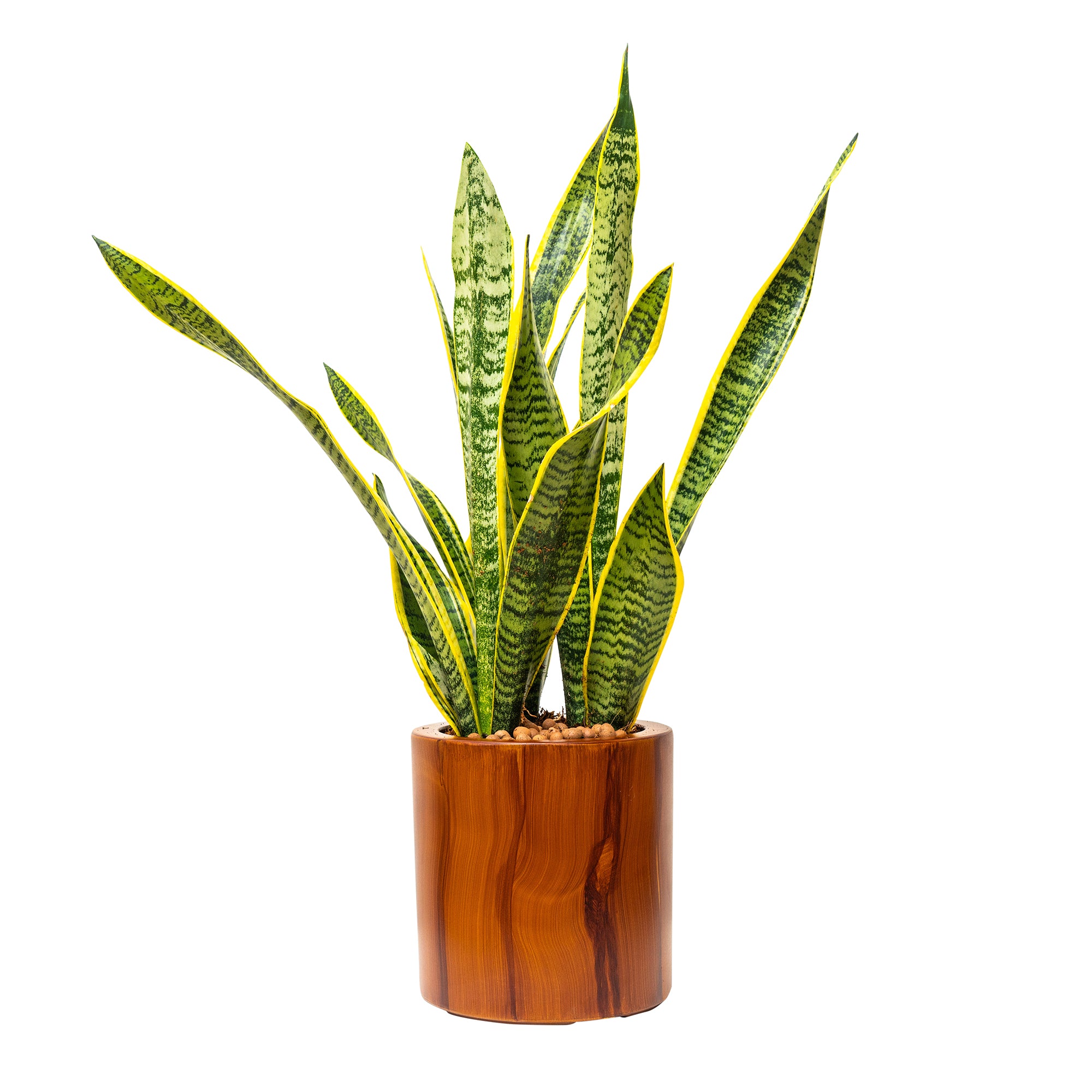 7.8 in. Dark Wood Plastic Self-watering Planter Pot--1