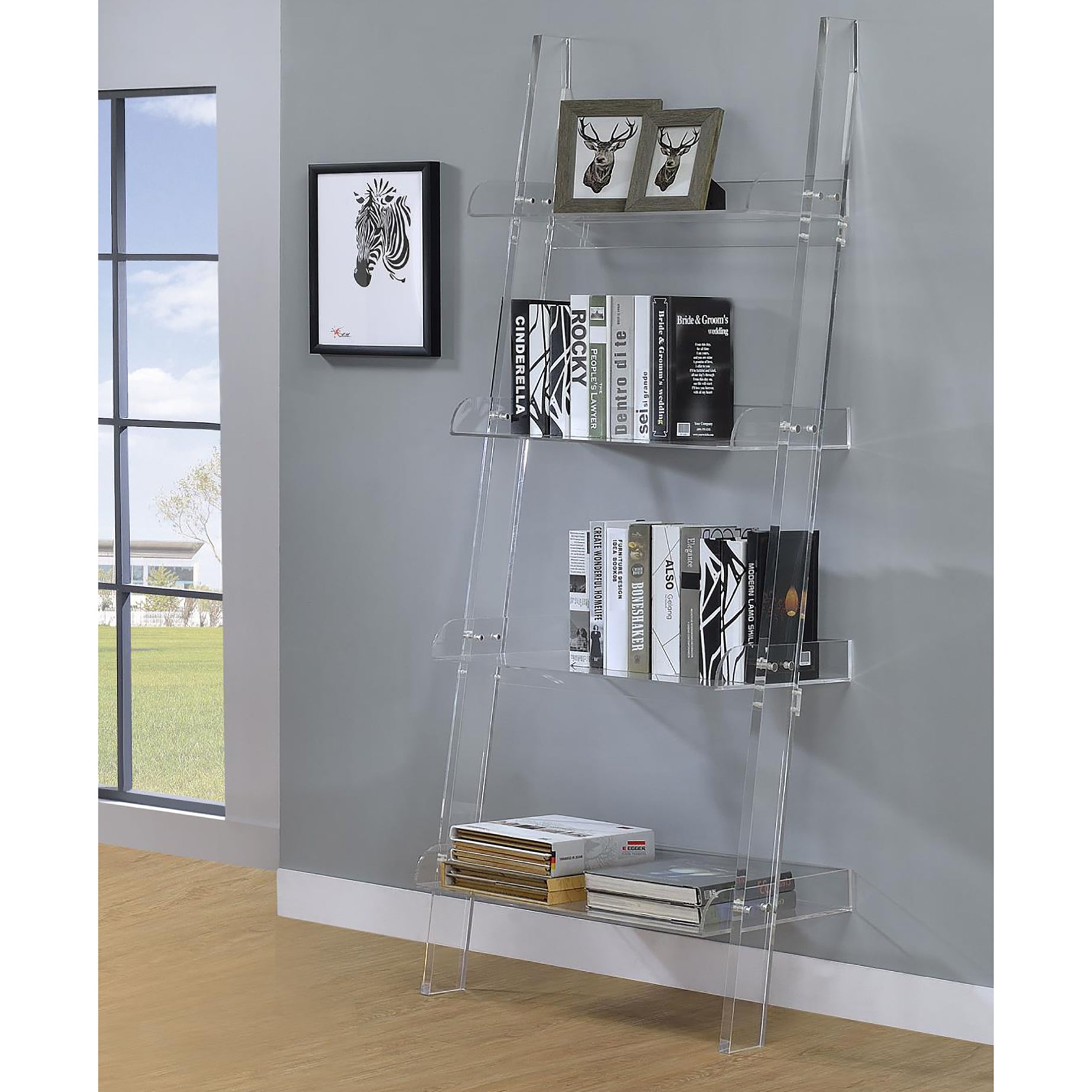 Clear Acrylic Ladder Bookcase--1