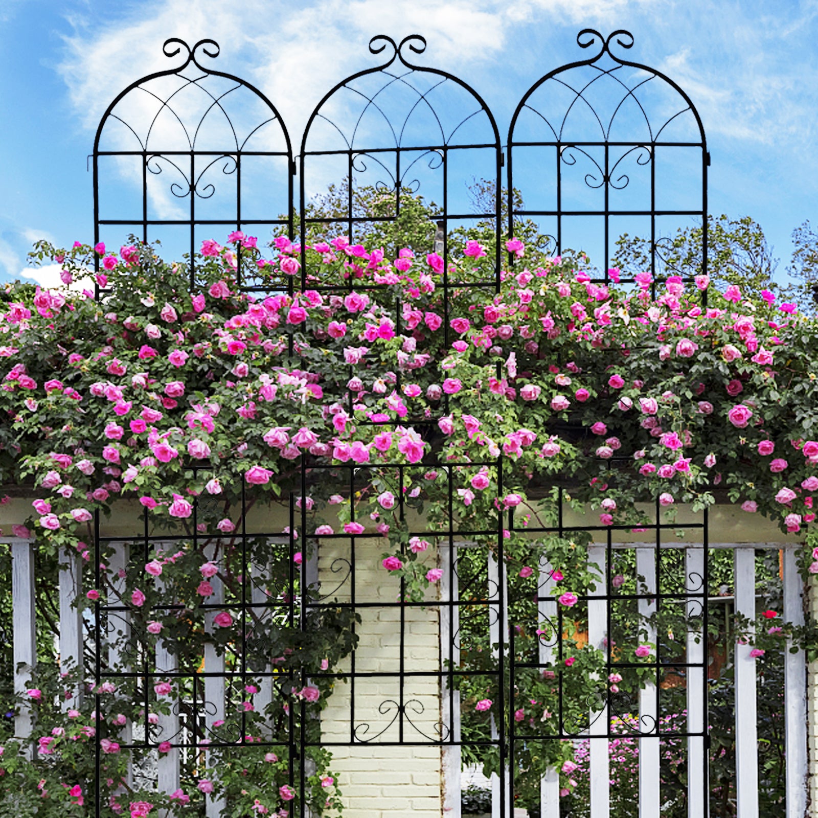 4 Pack Metal Garden Trellis 86.7" x 19.7" Rustproof Trellis for Climbing Plants Outdoor Flower Support Black--1