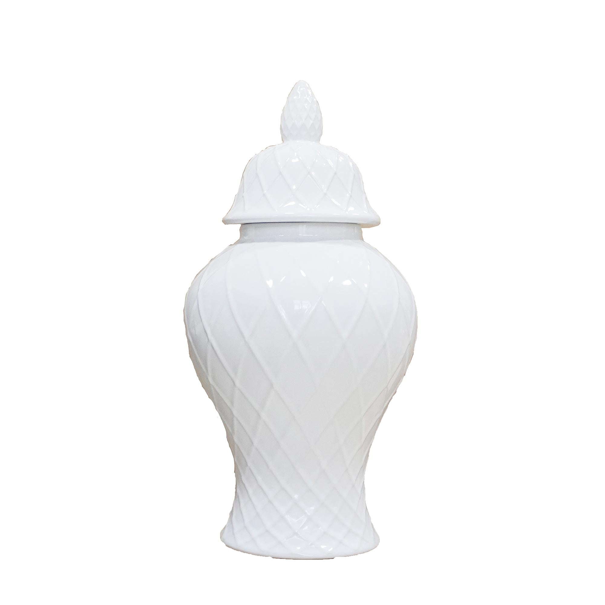 Elegant White Ceramic Ginger Jar with Decorative Design--1