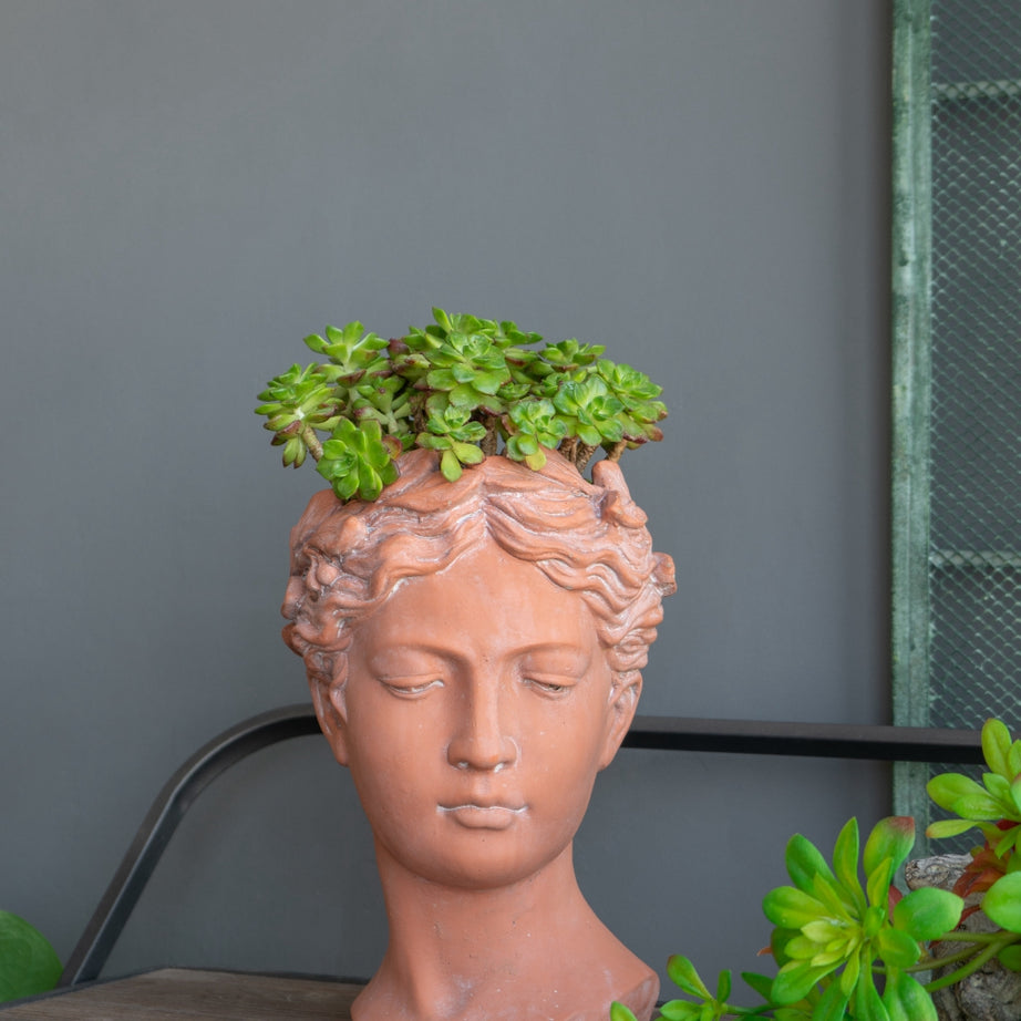 D7x11" Visage Head Bust Planter, Brown--1