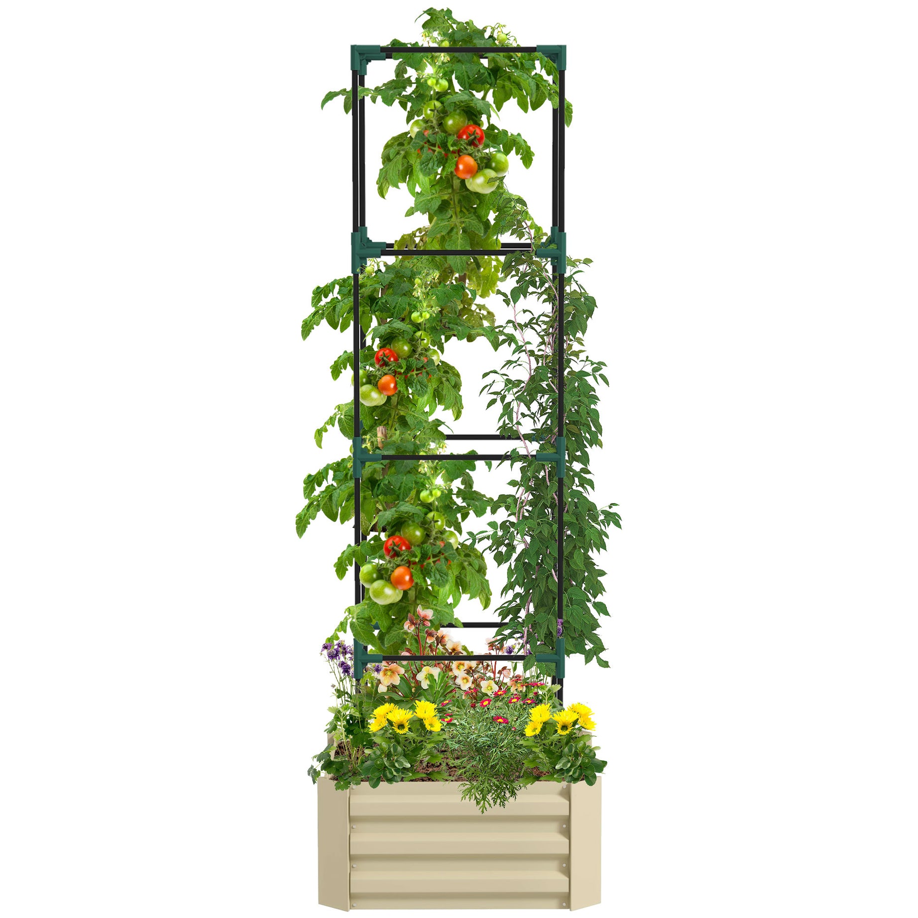 Outsunny Galvanized Raised Garden Bed, 24" x 24" x 11.75" Outdoor Planter Box with Trellis Tomato Cage and Open Bottom for Climbing Vines, Vegetables, Flowers in Backyard, Garden, Patio, Cream--1