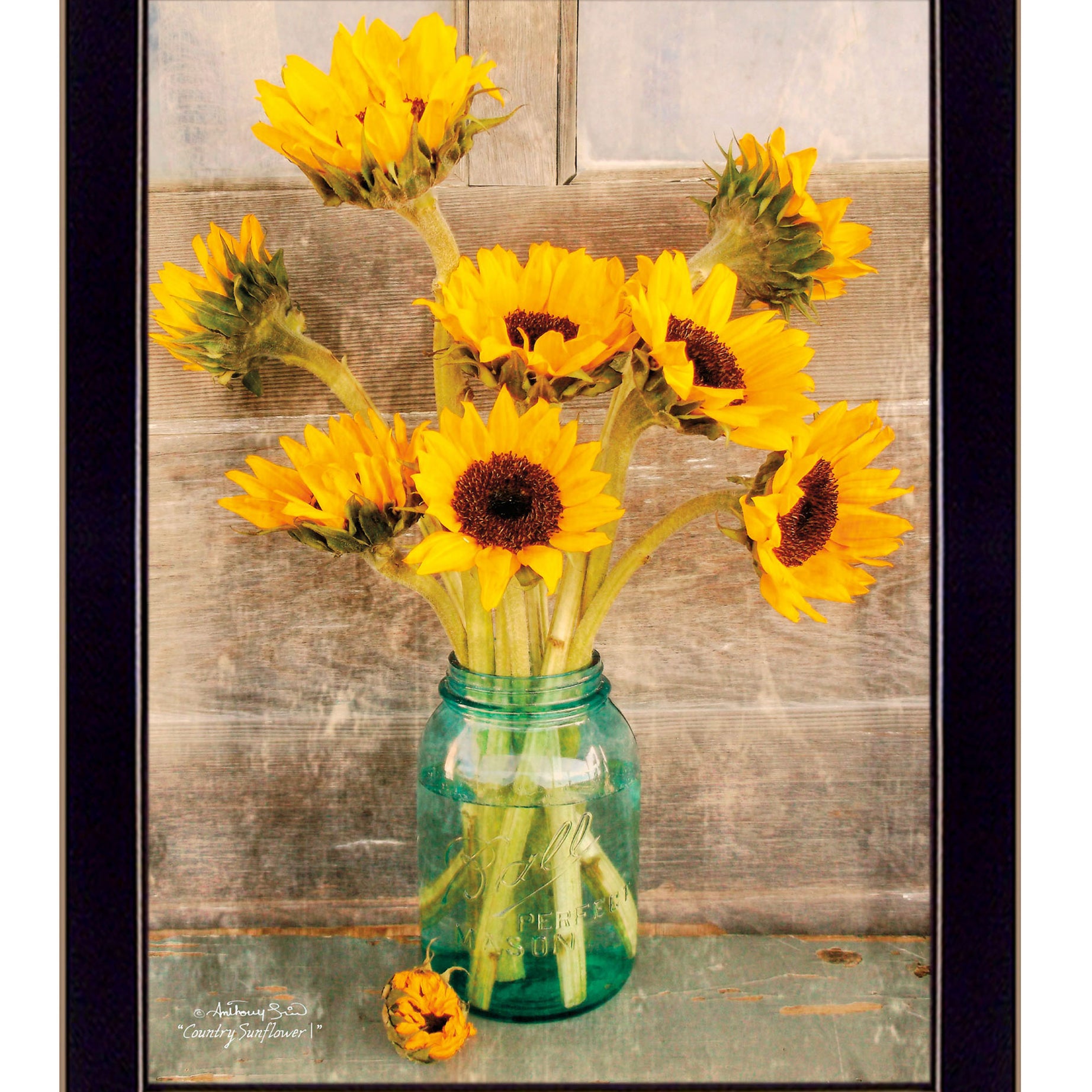 "Country Sunflowers 1" by Anthony Smith, Ready to Hang Framed Print, Black Frame--1