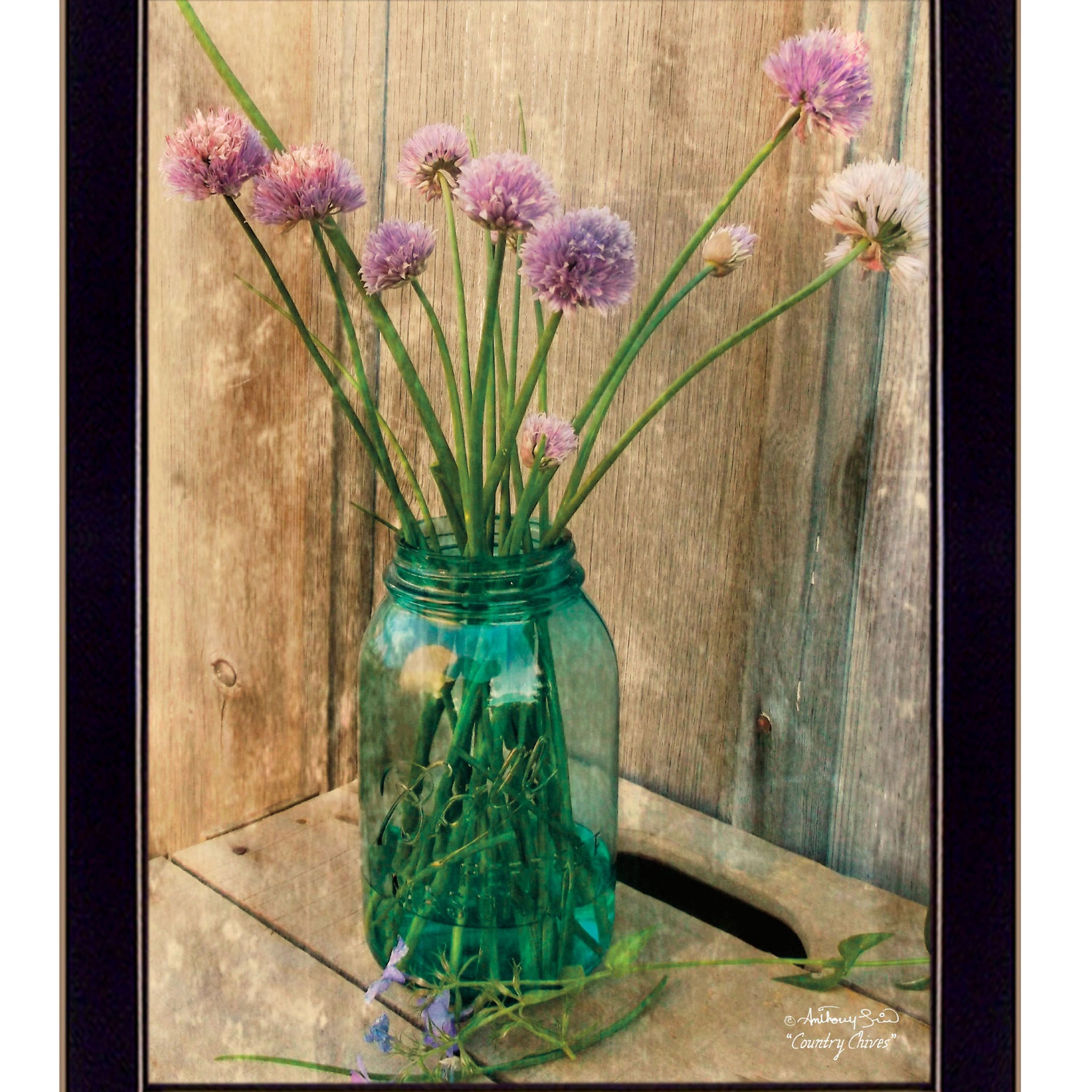 "Country Chives" by Anthony Smith, Ready to Hang Framed Print, Black Frame--1