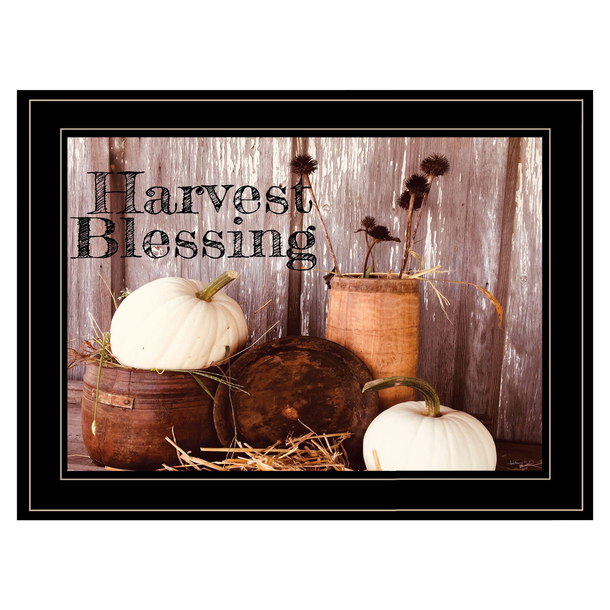 "Harvest Blessings" by Anthony Smith, Ready to Hang Framed Print, Black Frame--1