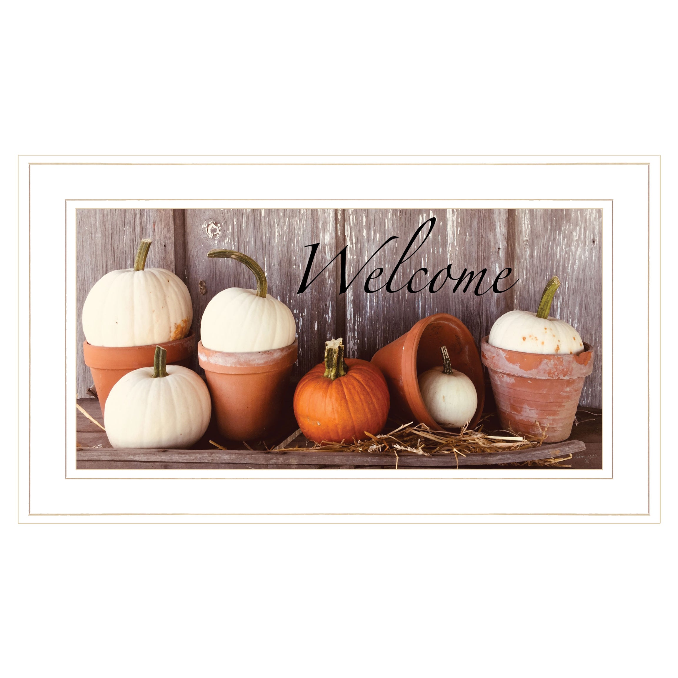 "Welcome Pumpkin Shelf" by Anthony Smith, Ready to Hang Framed Print, White Frame--1