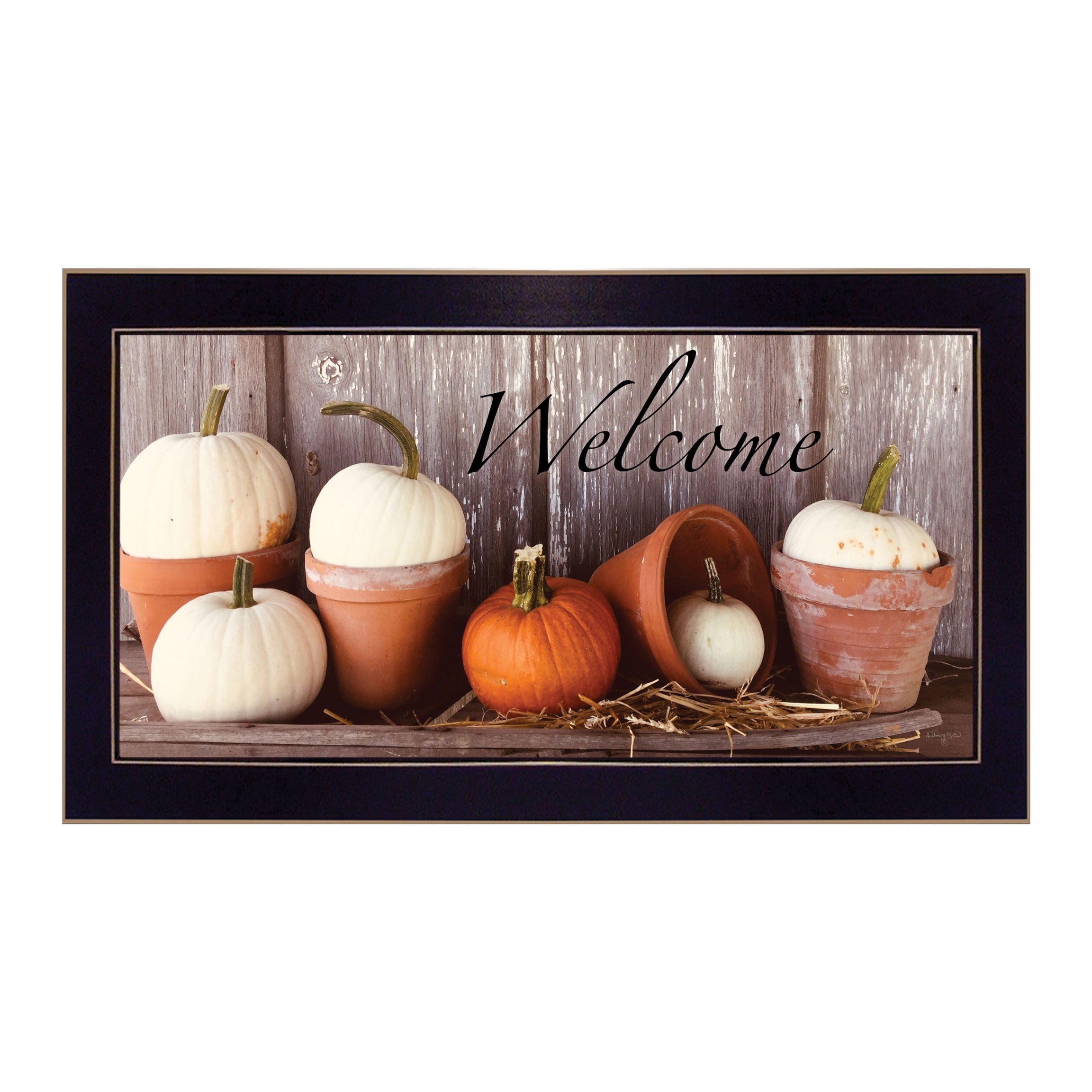 "Welcome Pumpkin Shelf" by Anthony Smith, Ready to Hang Framed Print, Black Frame--1