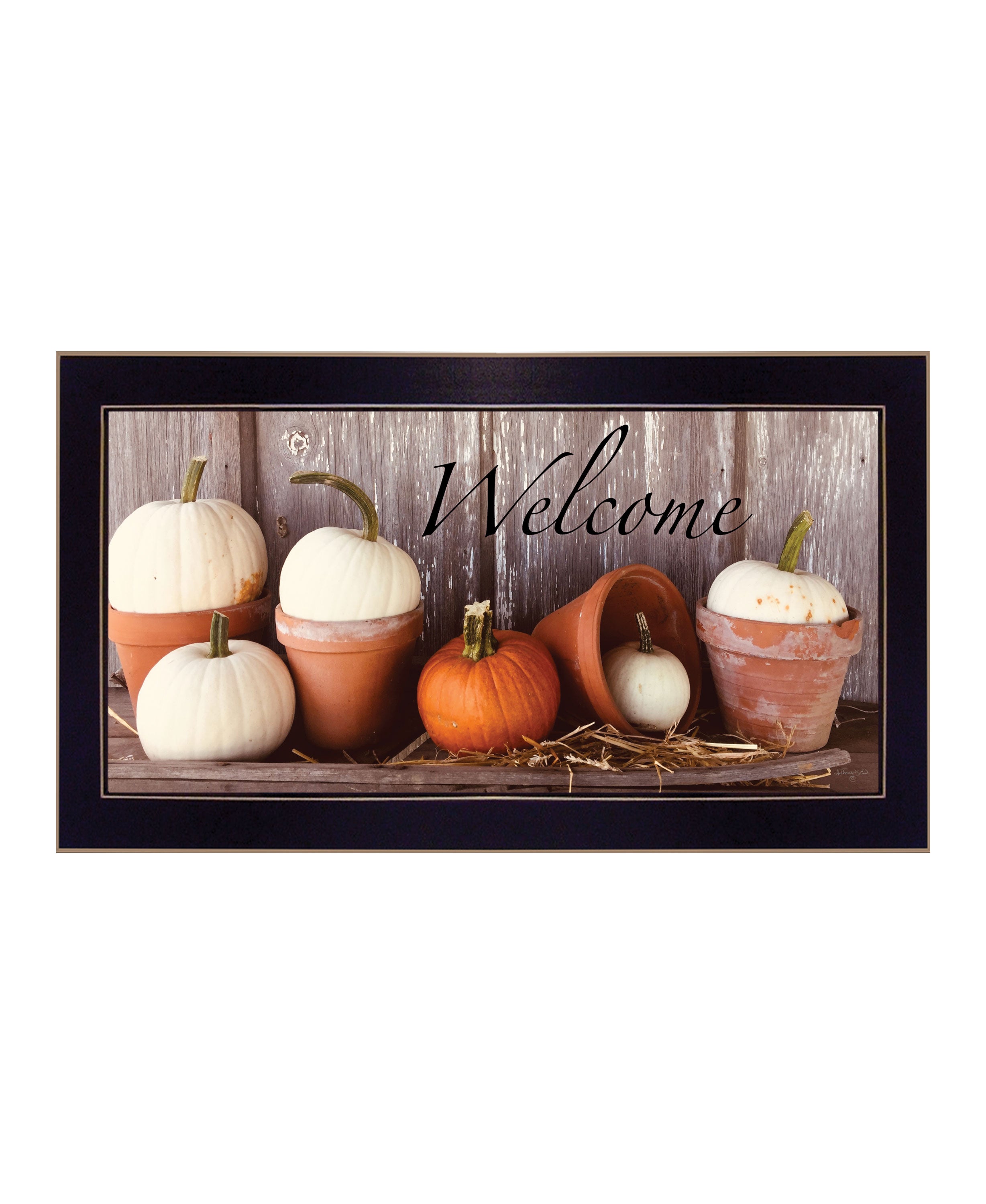 "Welcome Pumpkin Shelf" by Anthony Smith, Ready to Hang Framed Print, Black Frame--1