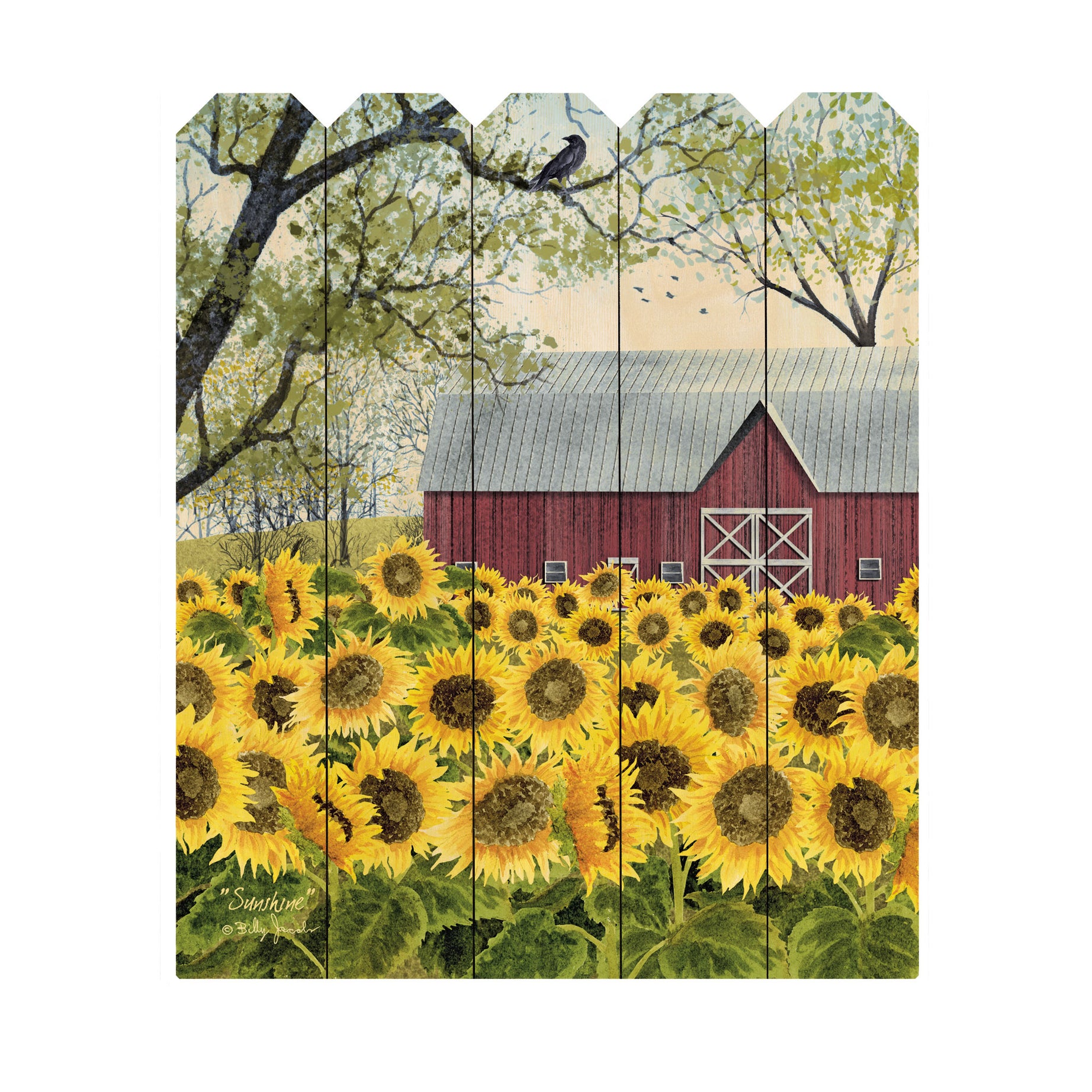 "Sunshine" By Artisan Billy Jacobs, Printed on Wooden Picket Fence Wall Art--1