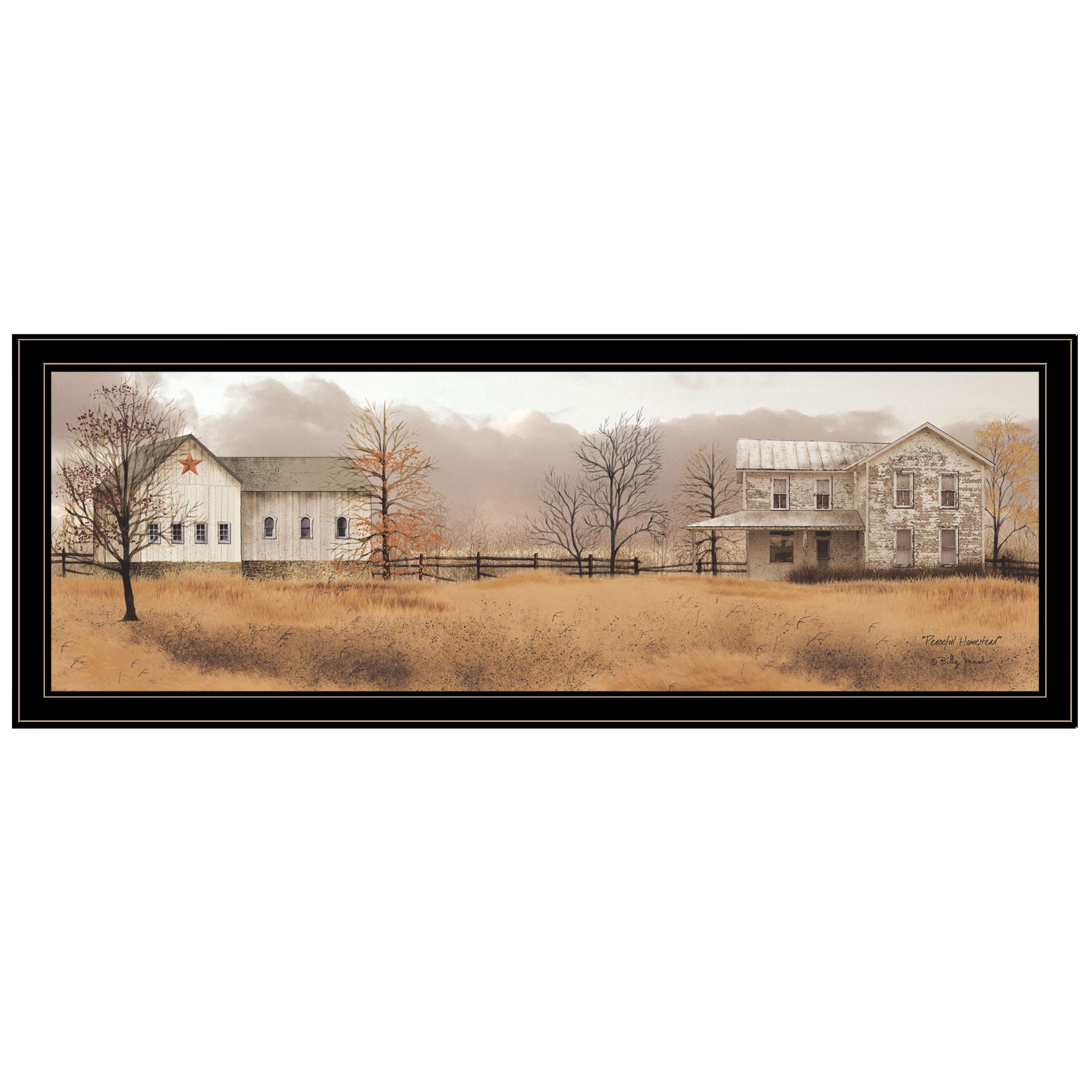 "Peaceful Homestead" by Billy Jacobs, Ready to Hang Framed Print, Black Frame--1