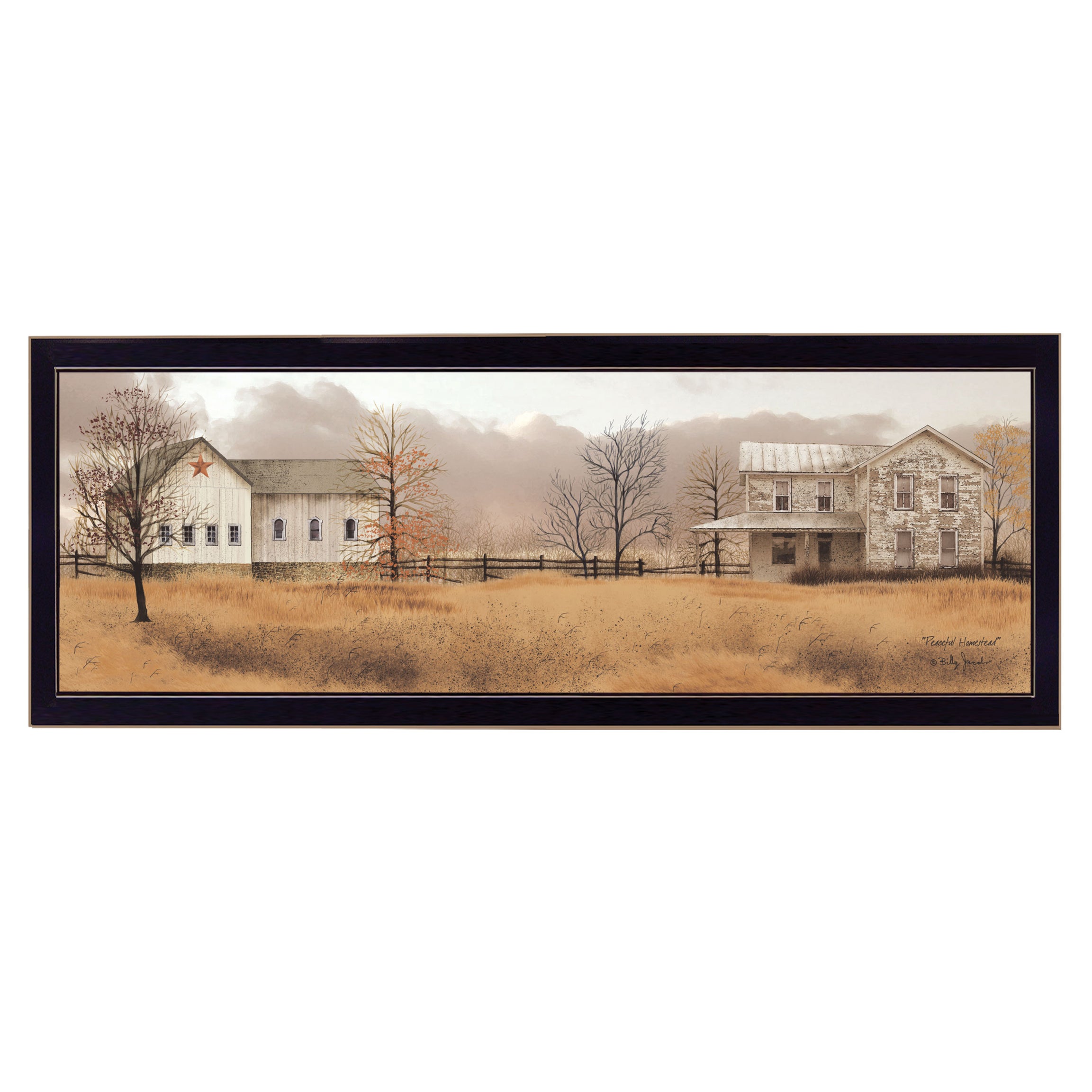 "Peaceful Homestead" by Billy Jacobs, Ready to Hang Framed Print, Black Frame--1