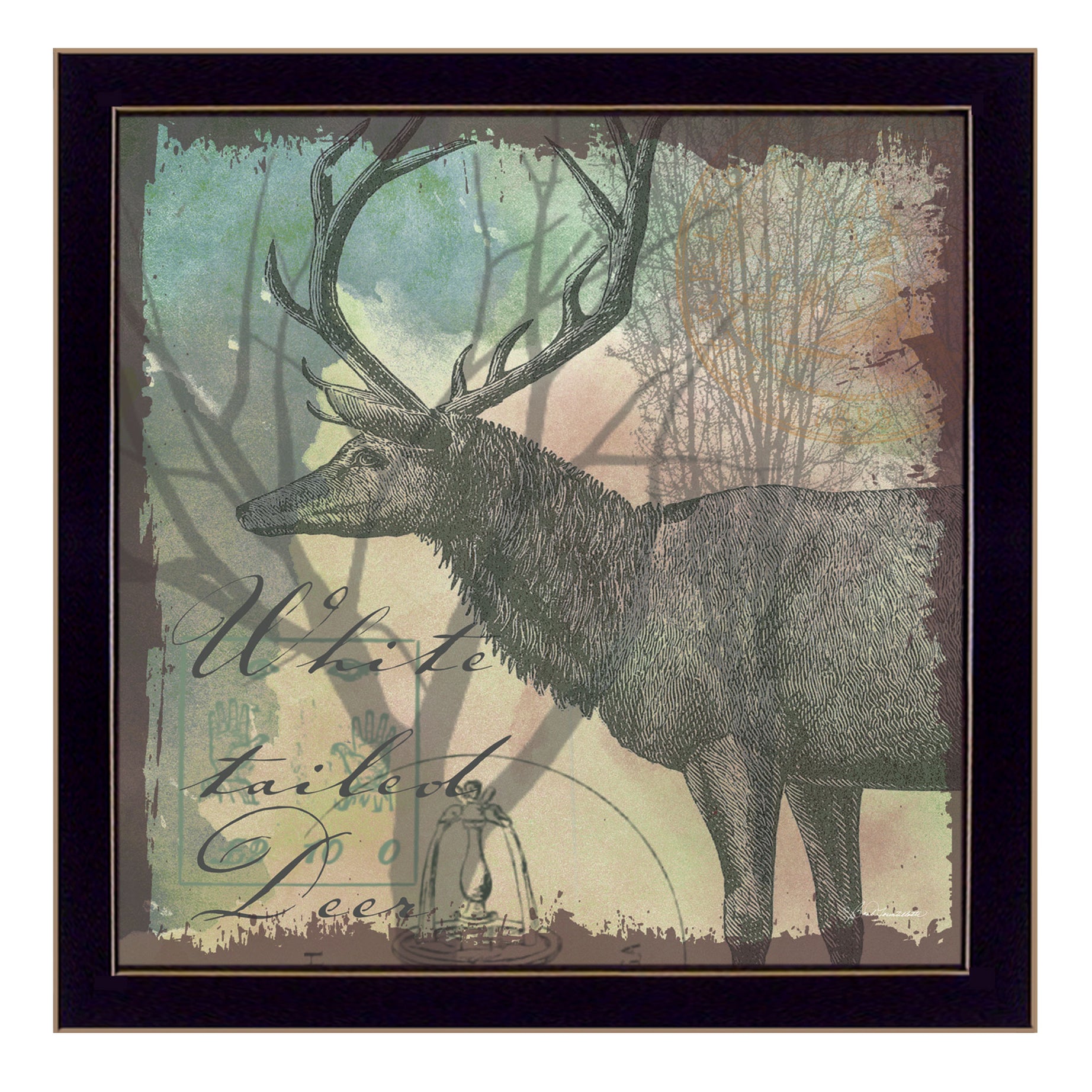 "Deer" By Barb Tourtillotte, Printed Wall Art, Ready To Hang Framed Poster, Black Frame--1