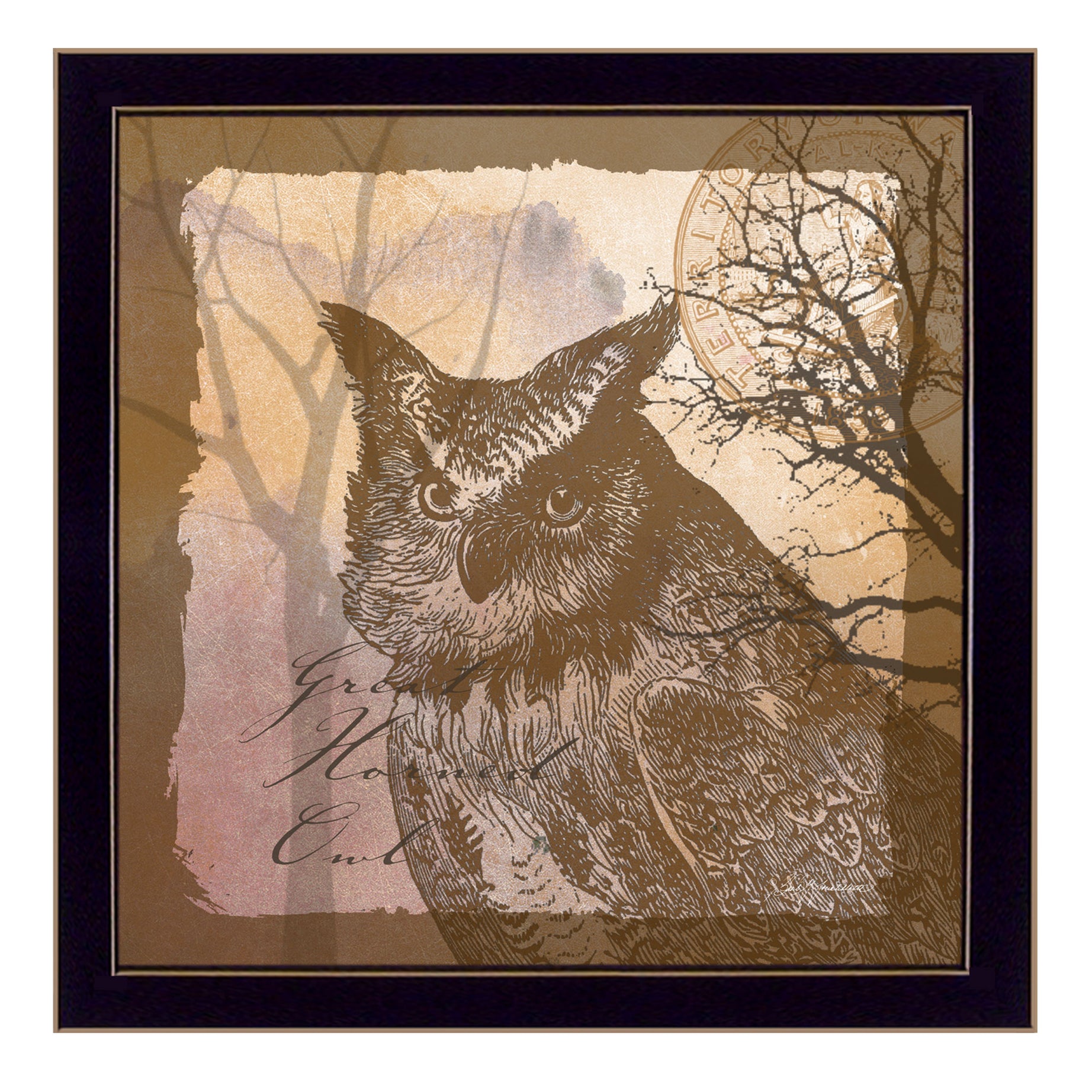 "Owl" By Barb Tourtillotte, Printed Wall Art, Ready To Hang Framed Poster, Black Frame--1