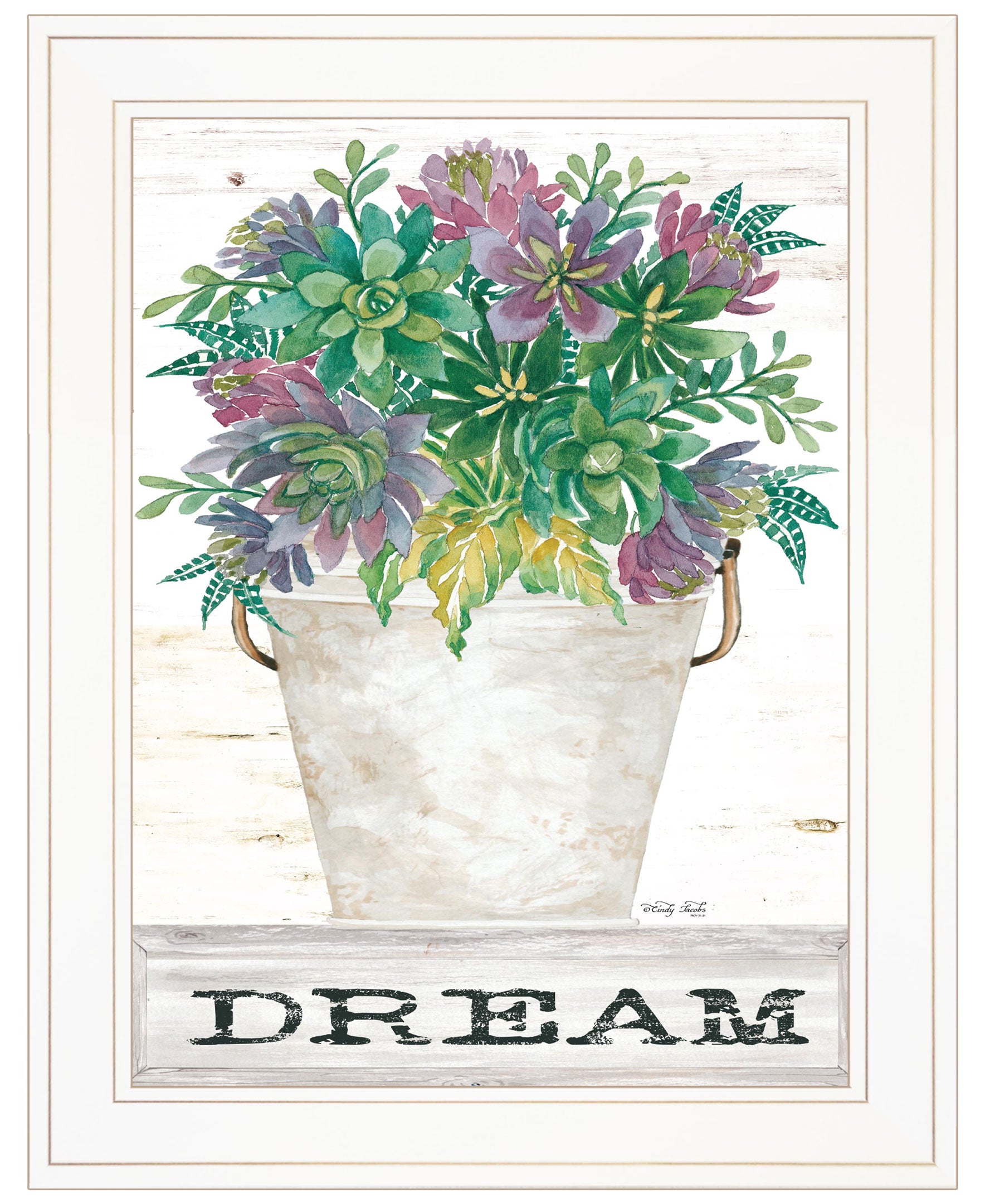 "Dream Succulents" by Cindy Jacobs, Ready to Hang Framed Print, White Frame--1