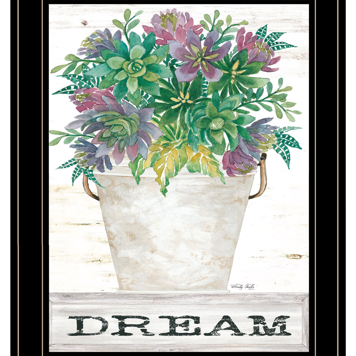 "Dream Succulents" by Cindy Jacobs, Ready to Hang Framed Print, Black Frame--1