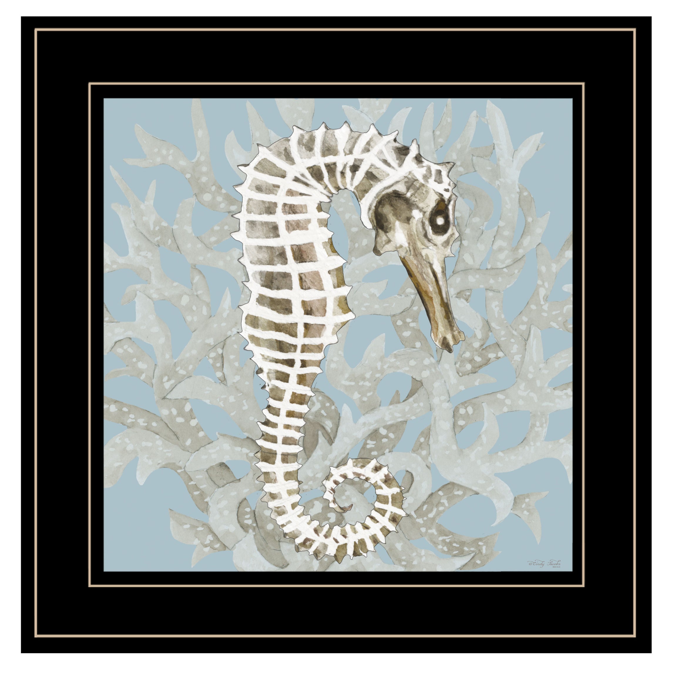 "Coral Seahorse I" by Cindy Jacobs, Ready to Hang Framed Print, Black Frame--1