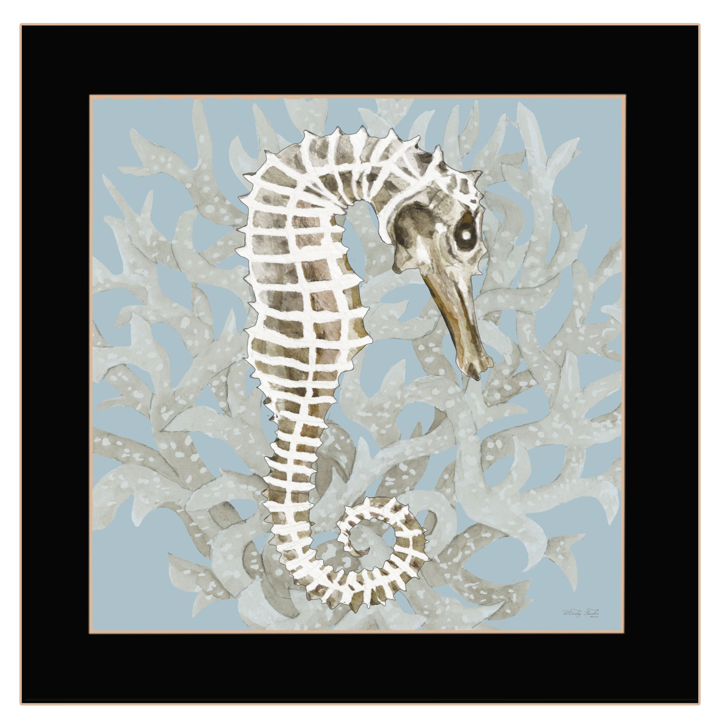 "Coral Seahorse I" by Cindy Jacobs, Ready to Hang Framed Print, Black Frame--1