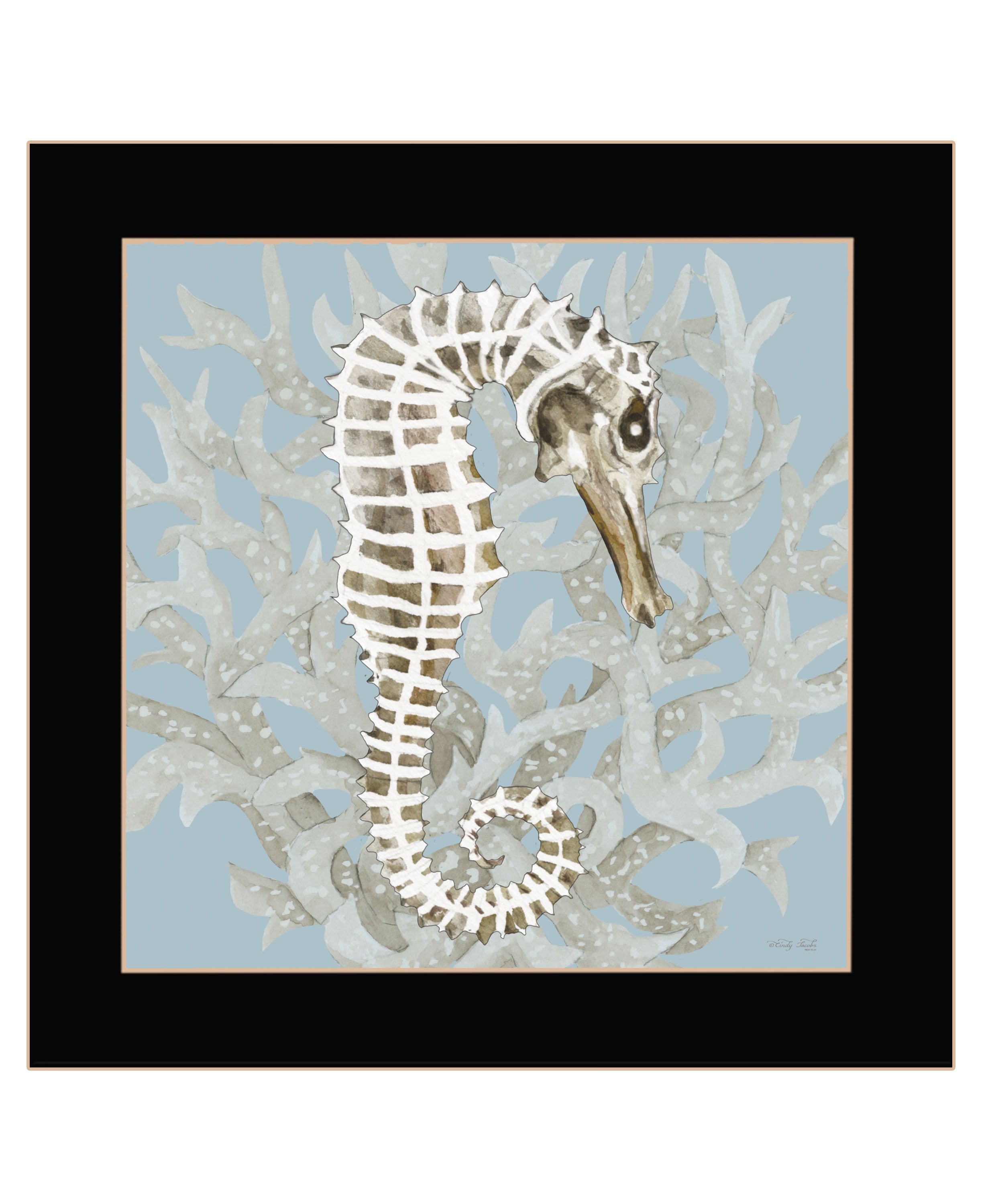 "Coral Seahorse I" by Cindy Jacobs, Ready to Hang Framed Print, Black Frame--1