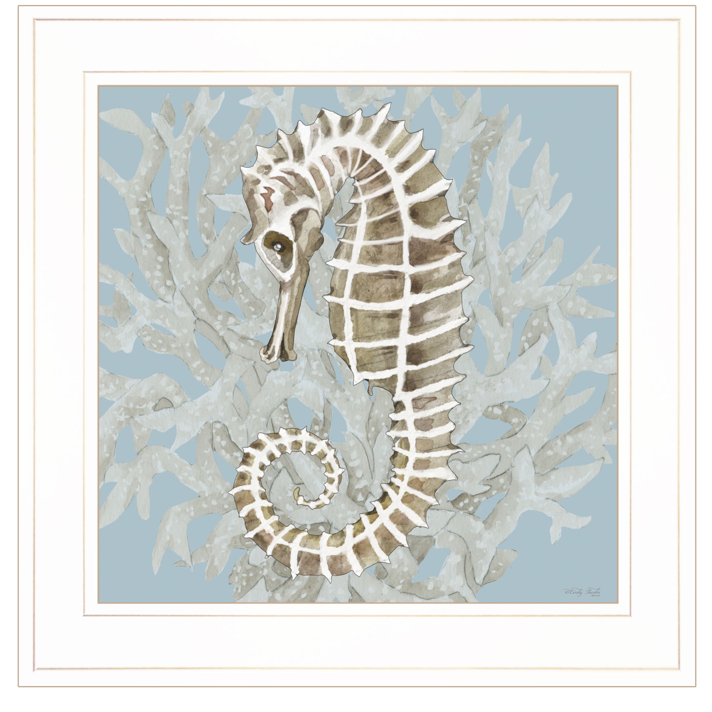 "Coral Seahorse II" by Cindy Jacobs, Ready to Hang Framed Print, White Frame--1