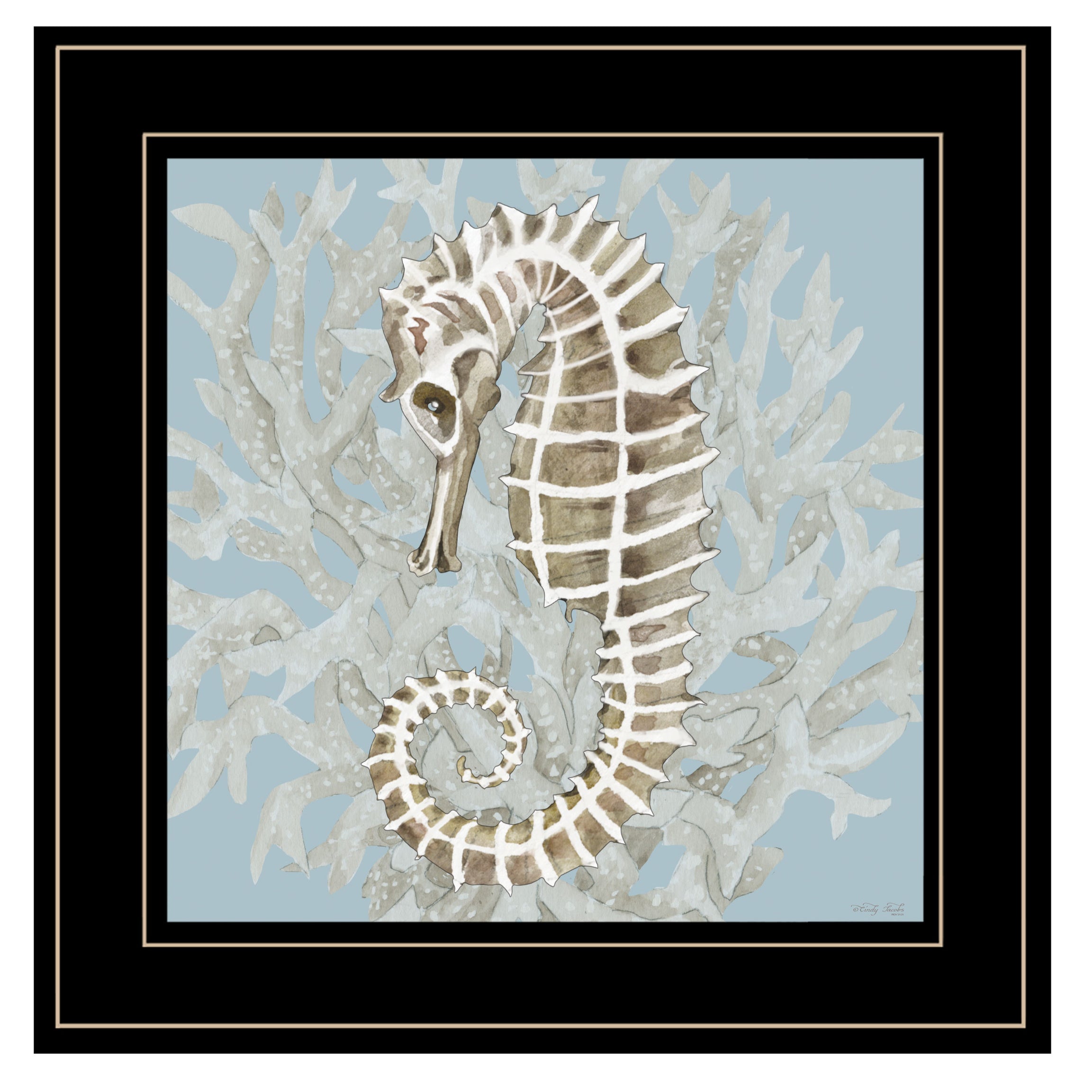 "Coral Seahorse II" by Cindy Jacobs, Ready to Hang Framed Print, Black Frame--1