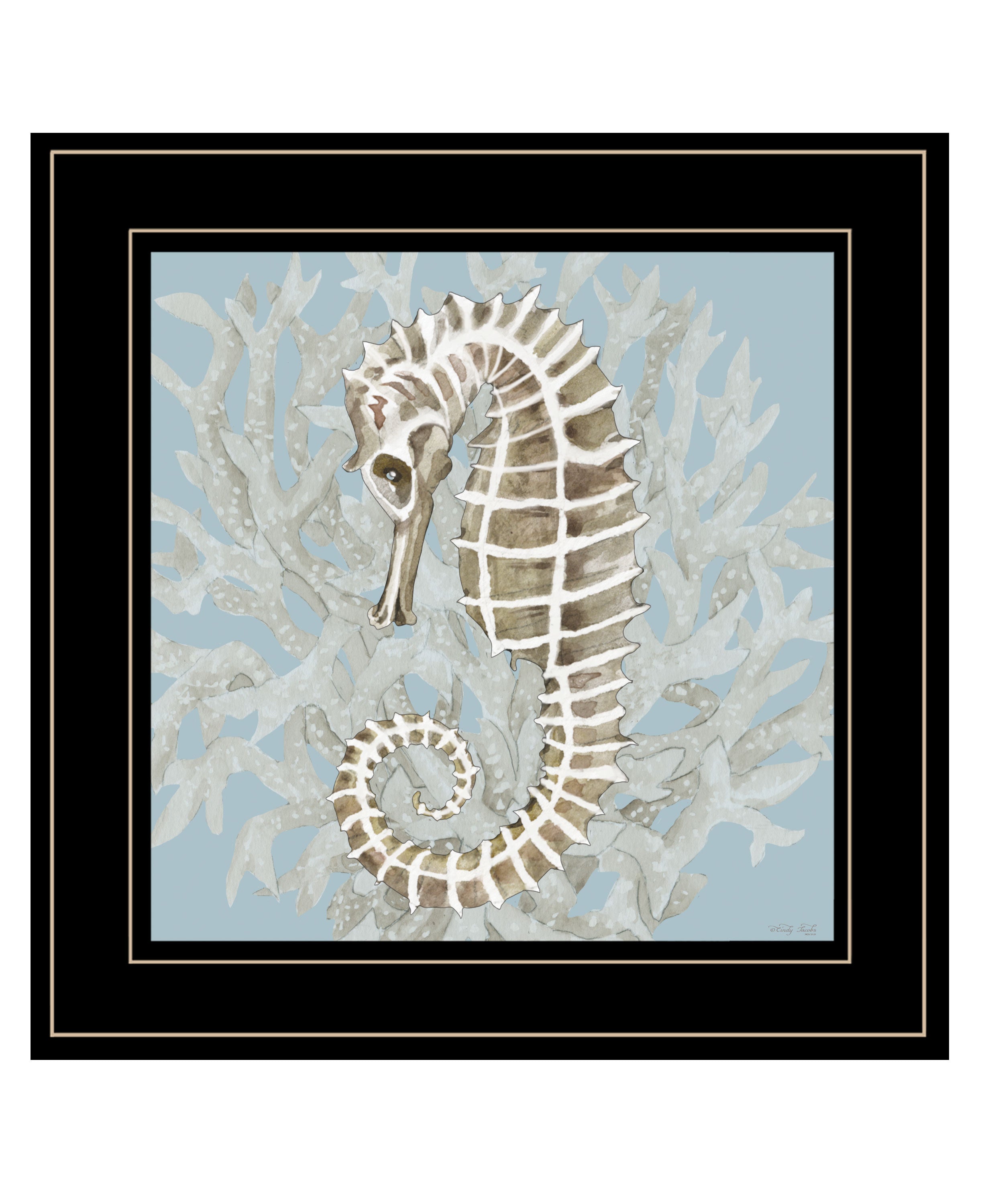 "Coral Seahorse II" by Cindy Jacobs, Ready to Hang Framed Print, Black Frame--1