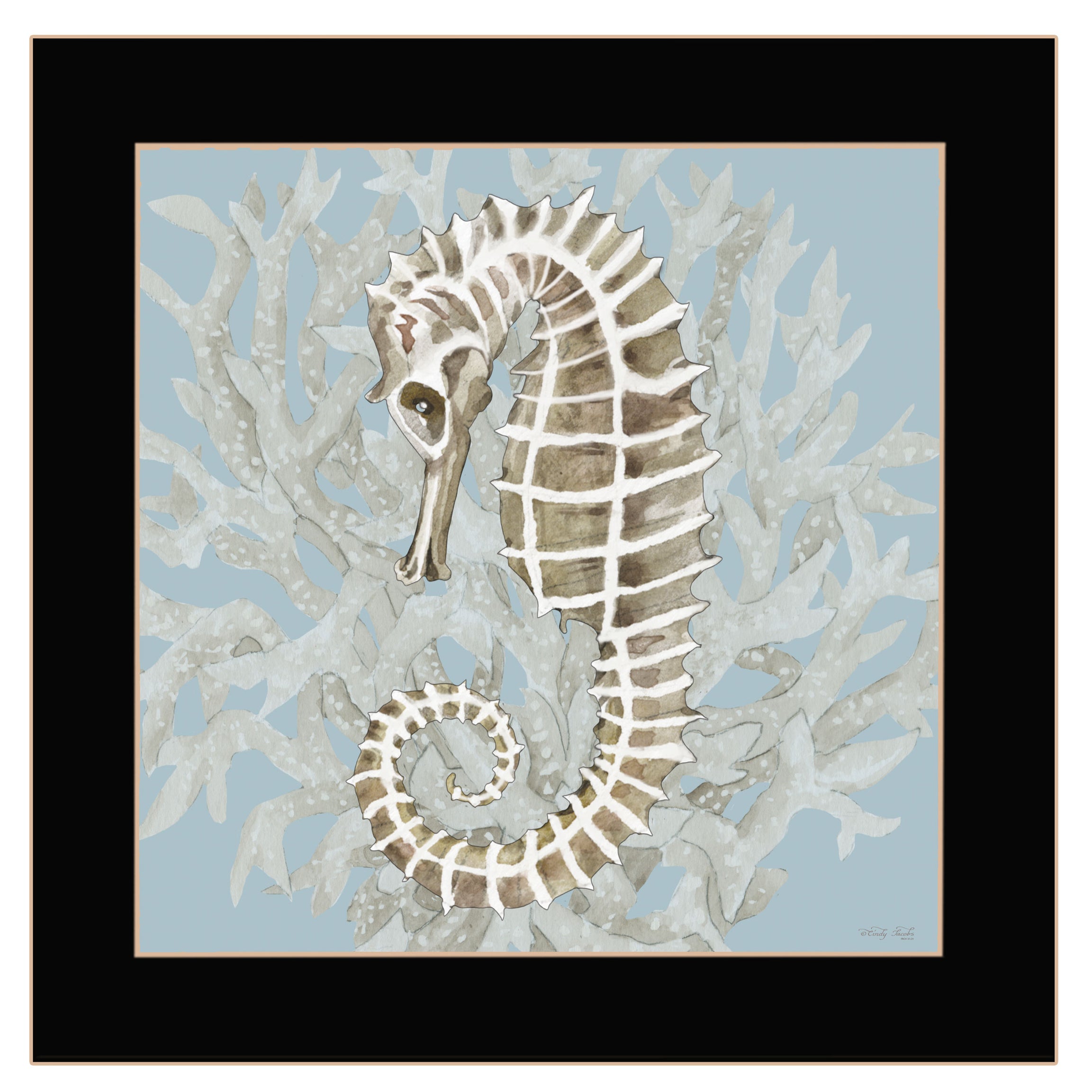 "Coral Seahorse II" by Cindy Jacobs, Ready to Hang Framed Print, Black Frame--1