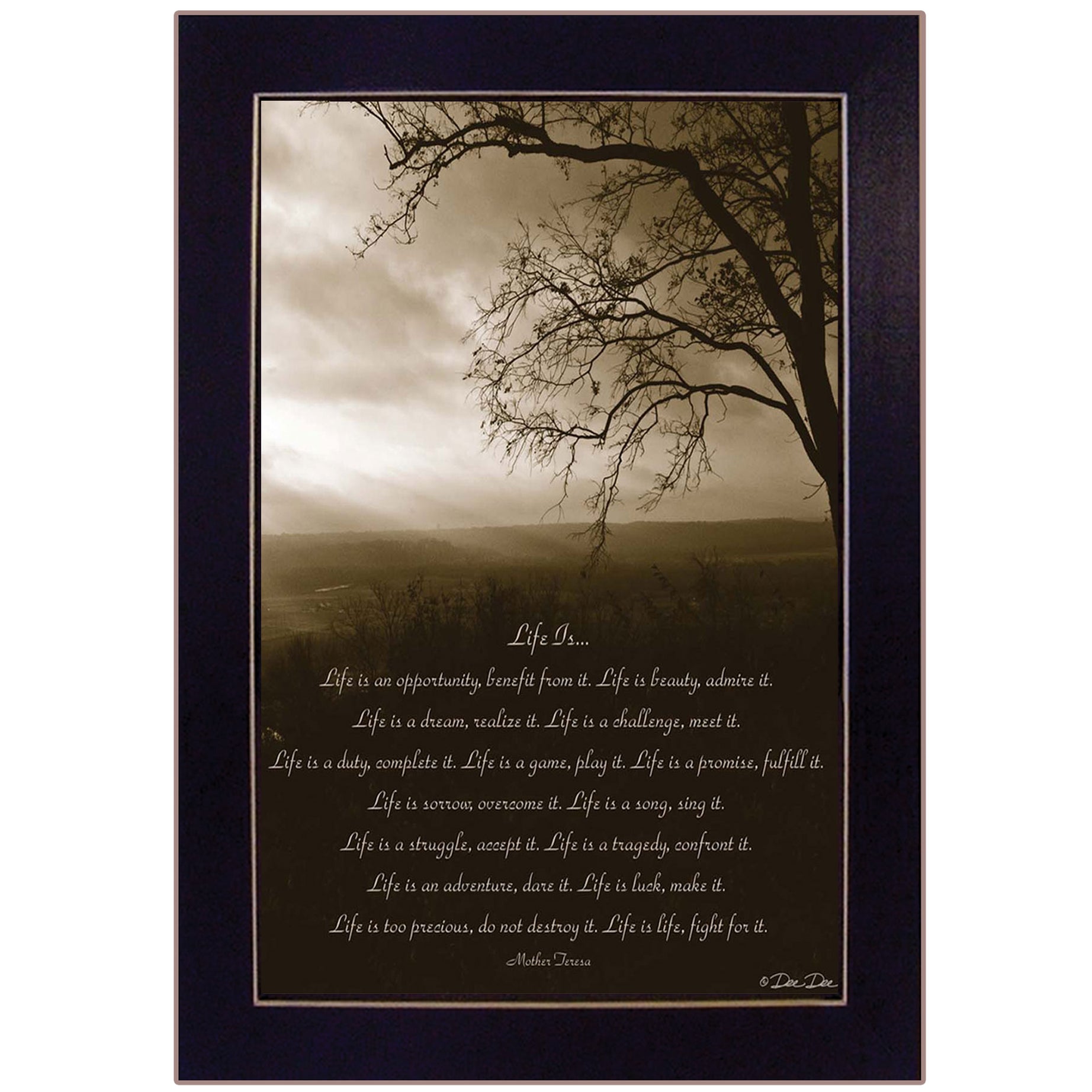 "Life Is" By Dee Dee, Printed Wall Art, Ready To Hang Framed Poster, Black Frame--1