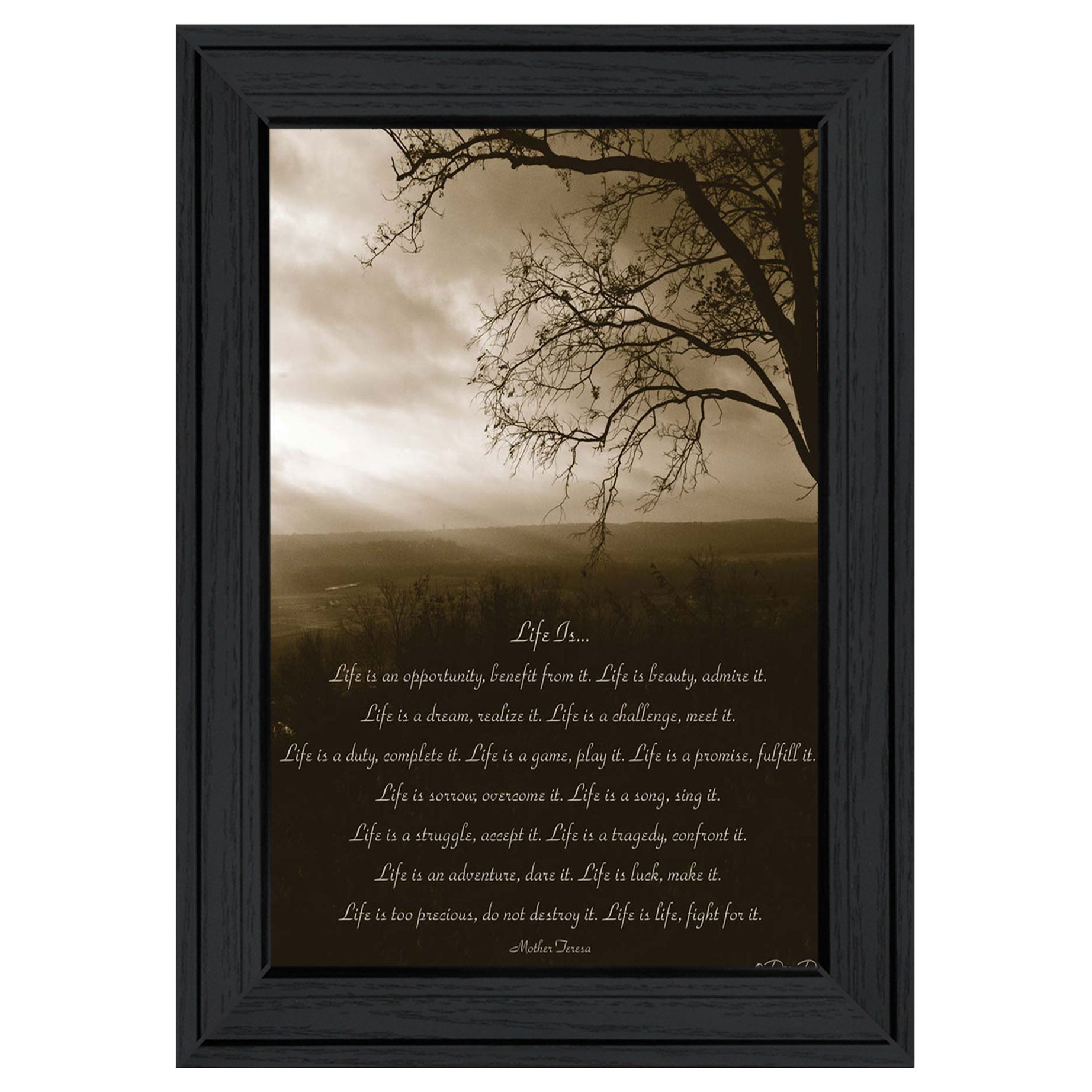 "Life is" By Dee Dee, Ready to Hang Framed Print, Black Frame--1