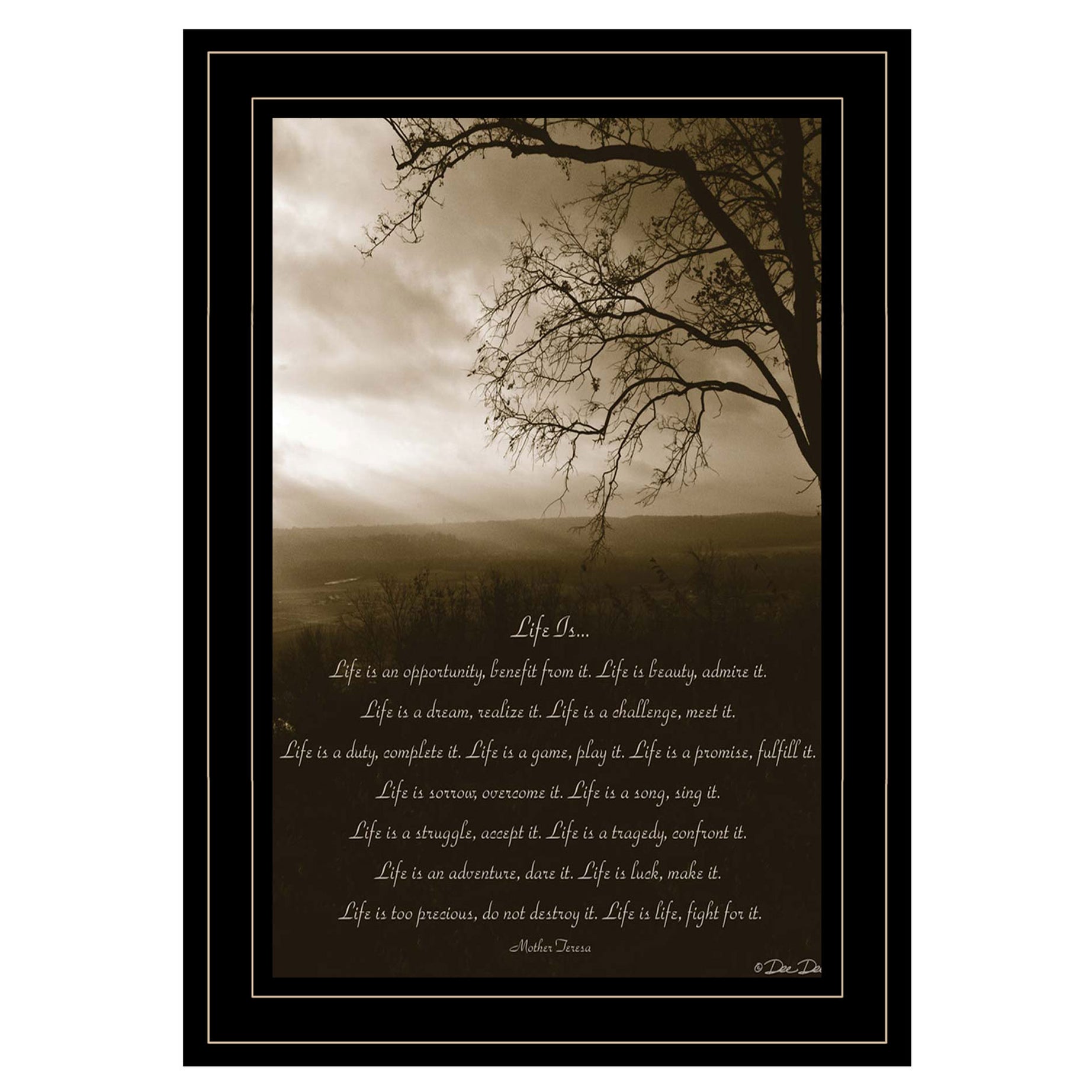 "Life is" By Dee Dee, Ready to Hang Framed Print, Black Frame--1