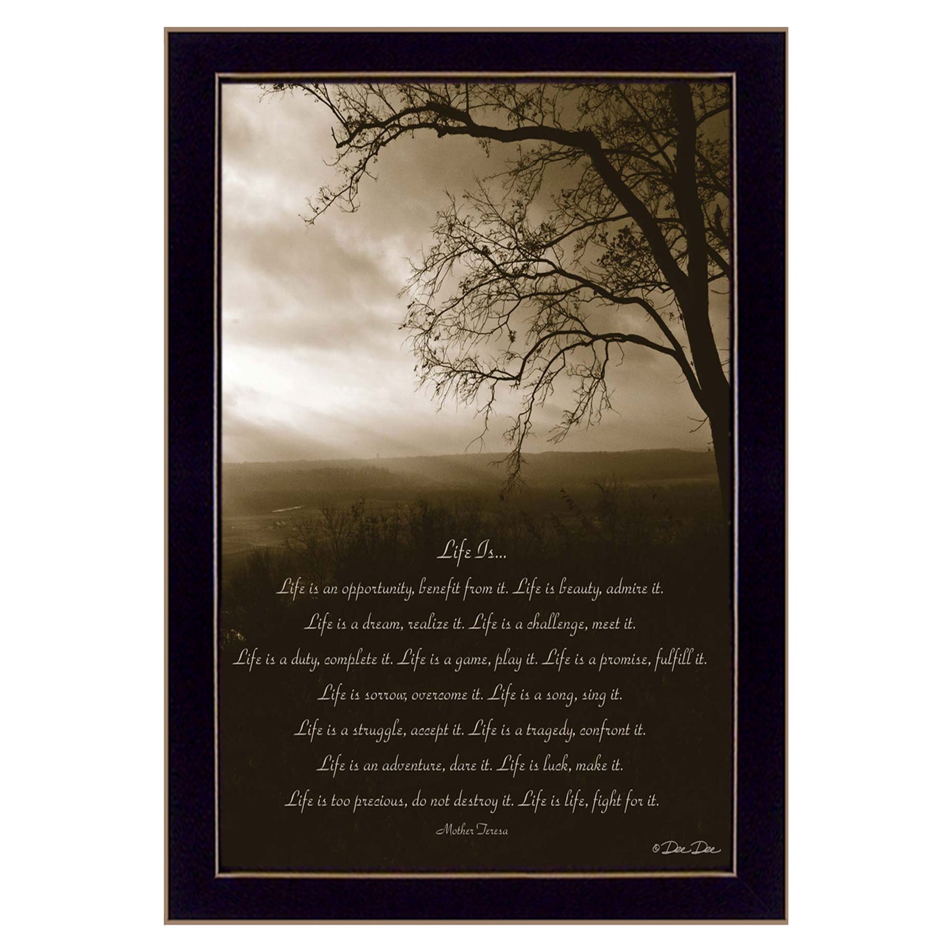 "Life is" By Dee Dee, Printed Wall Art, Ready To Hang Framed Poster, Black Frame--1