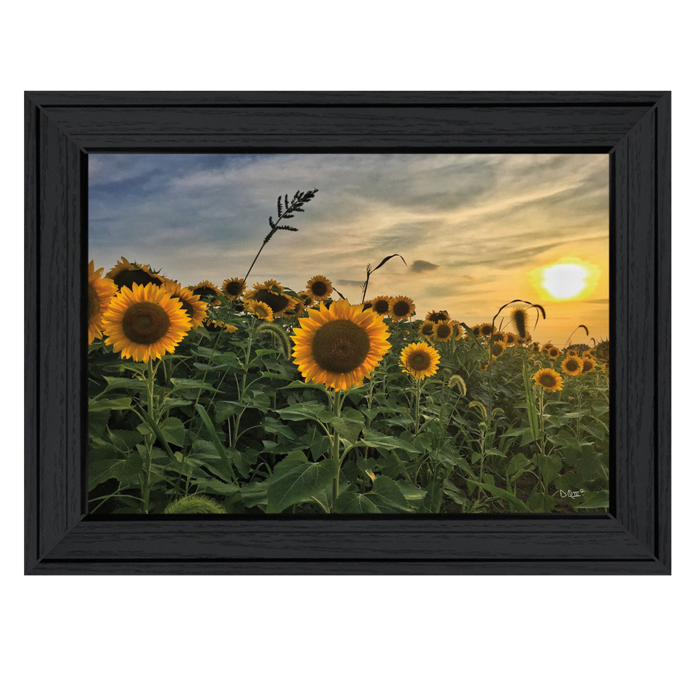 "Midwest Livin' I" by Donnie Quillen, Ready to Hang Framed Print, Black Frame--1