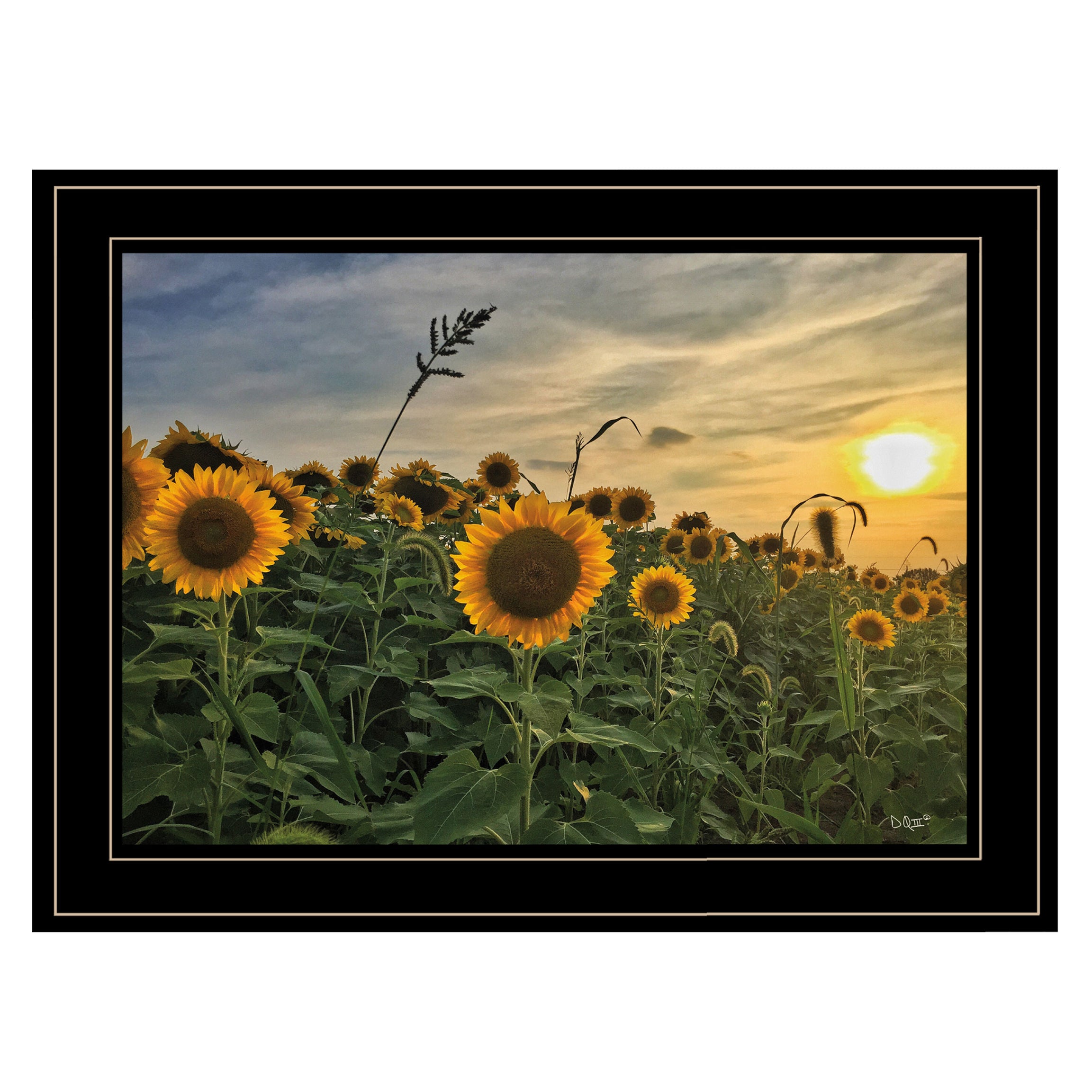 "Midwest Livin' I" by Donnie Quillen , Ready to Hang Framed Print, Black Frame--1