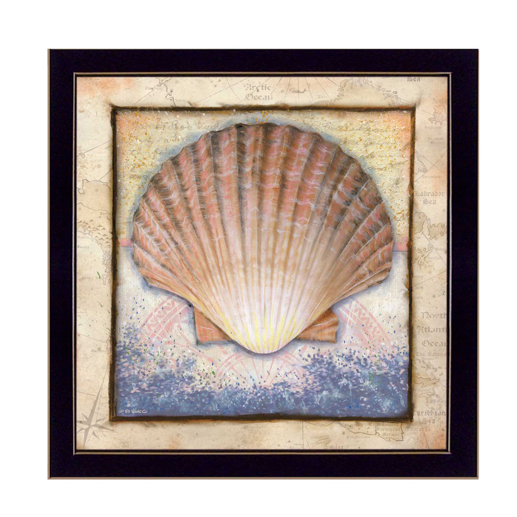 "Shell" By Ed Wargo, Printed Wall Art, Ready To Hang Framed Poster, Black Frame--1