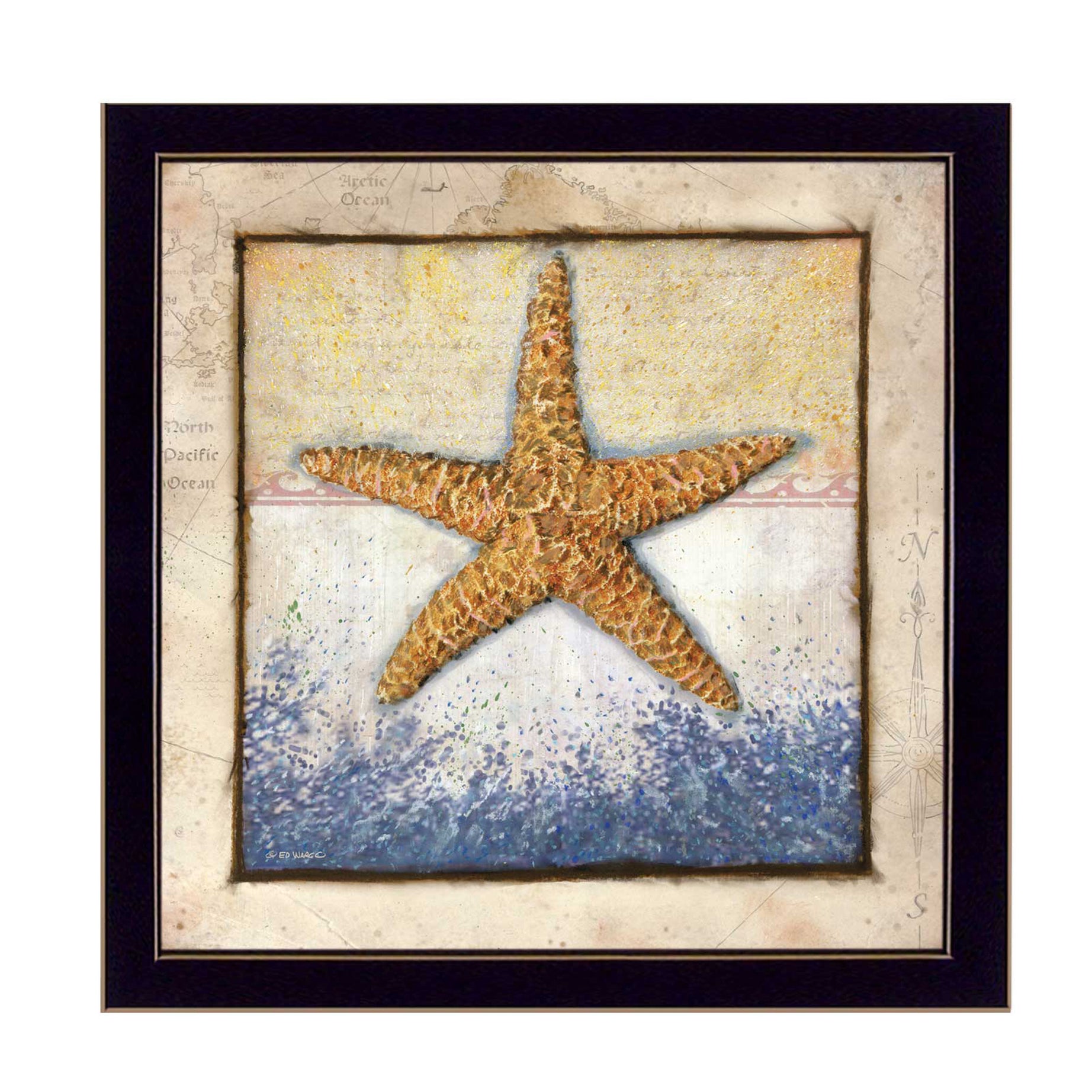 "Starfish" By Ed Wargo, Printed Wall Art, Ready To Hang Framed Poster, Black Frame--1