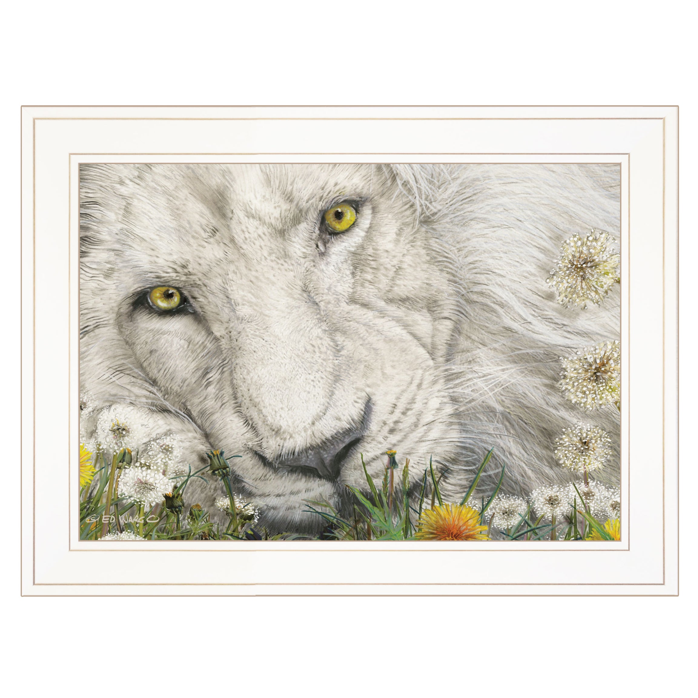 "Dandy Lion" By Ed Wargo, Ready to Hang Framed Print, White Frame--1